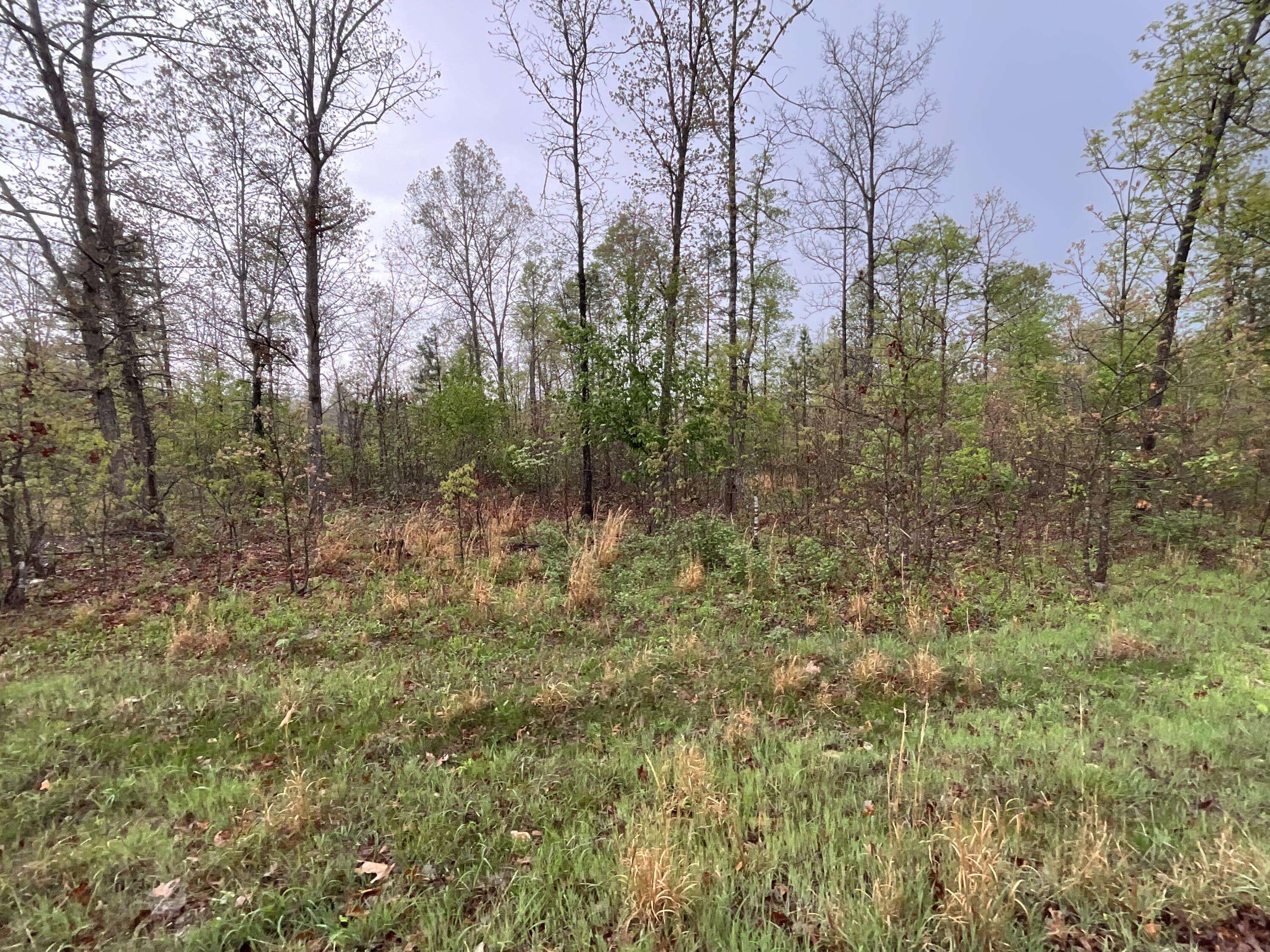 Lot 9 Lake WAY, Winona, MO 65588
