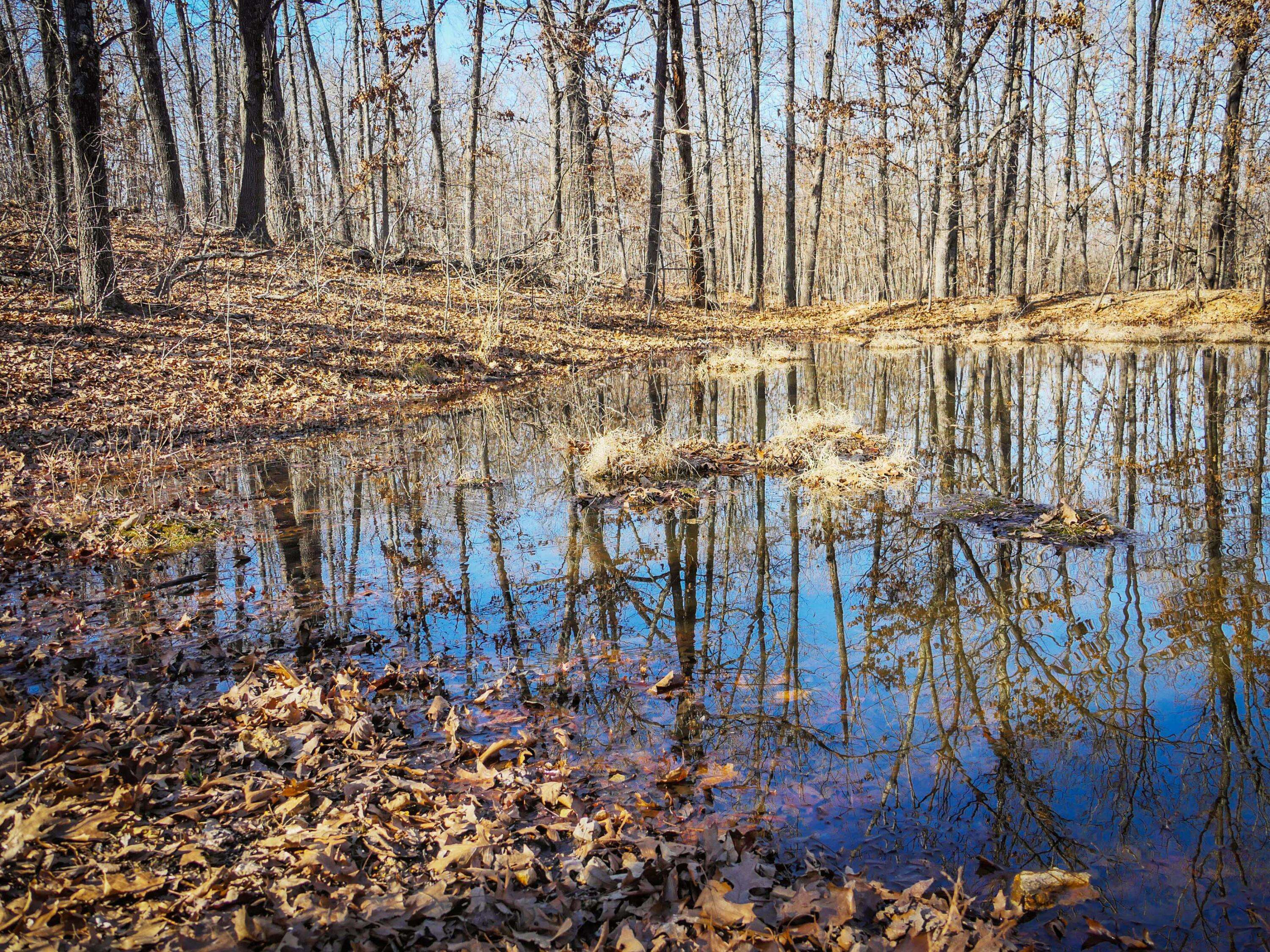 000 Ridge Trail RD #Lot B, Tunas, MO 65764