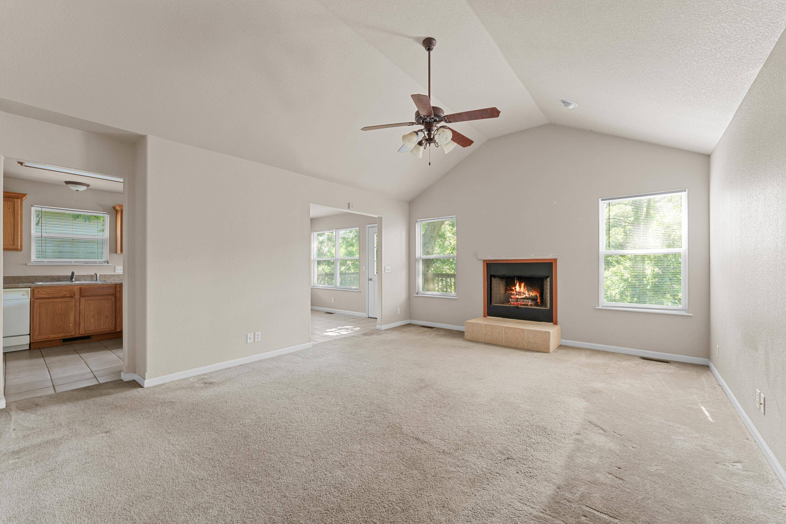 145 Lillian LN, Hollister, MO 65672