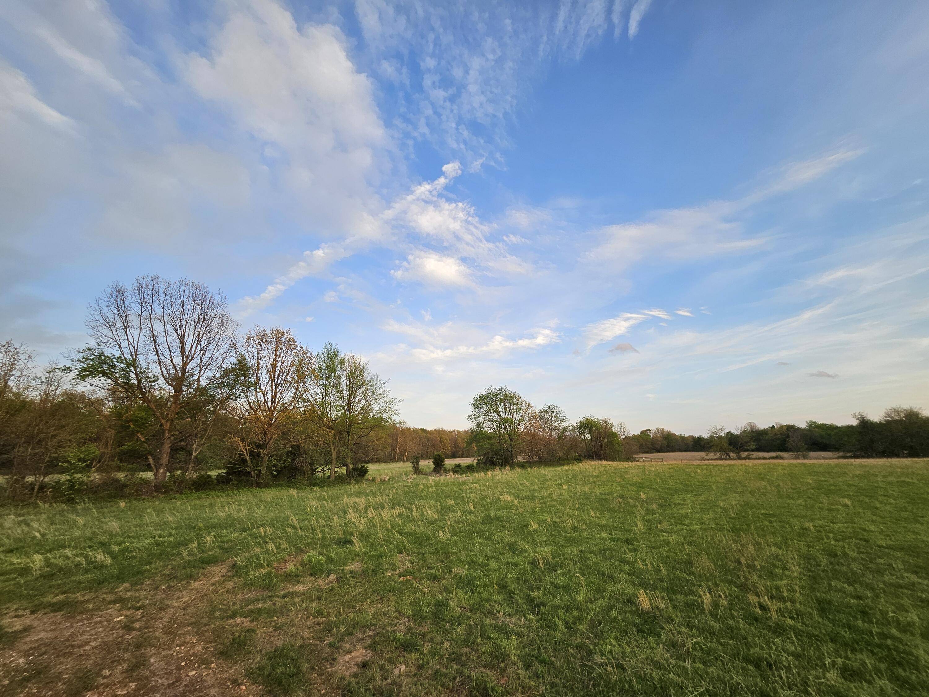 000 Lawrence 2210 #Lot 6, Monett, MO 65708