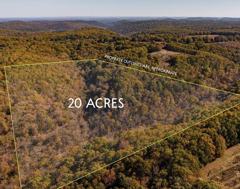 000 State Highway Jj, Hollister, MO 65672