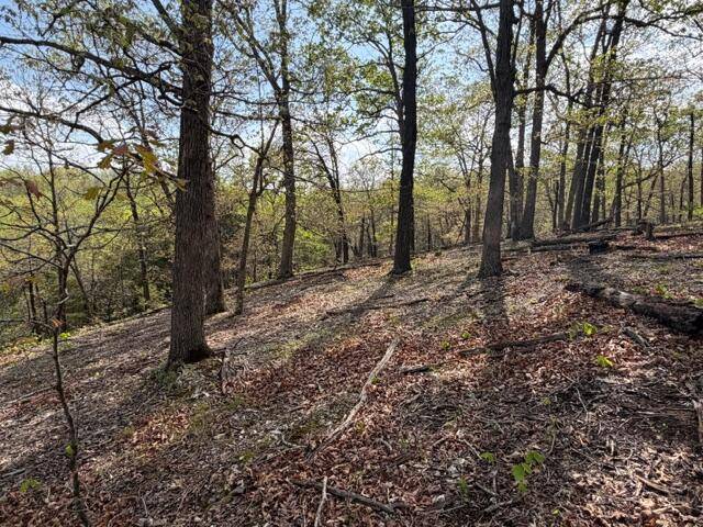 Tbd W Farm Road 34, Brighton, MO 65617