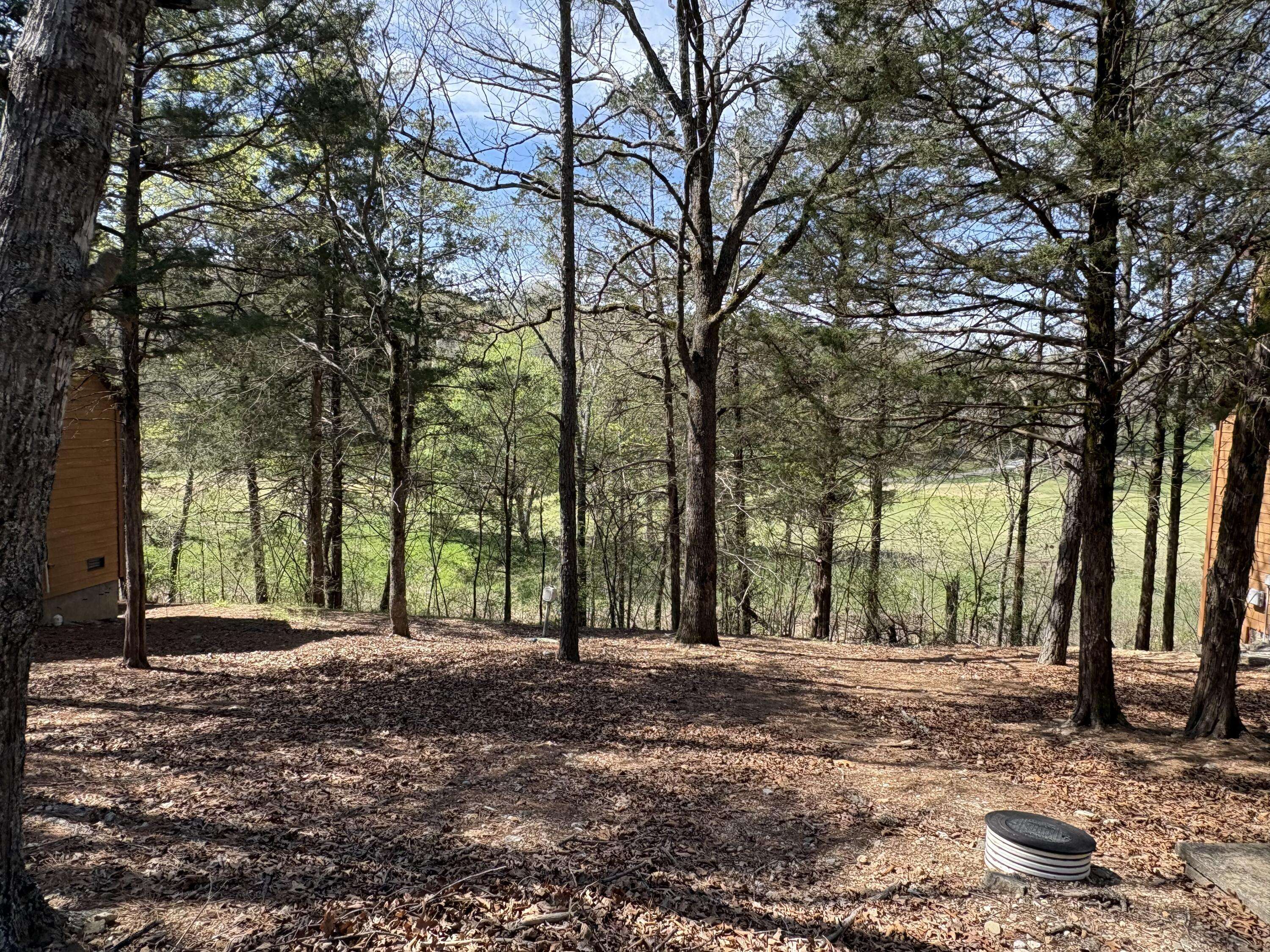 412 Baldknobber DR, Branson West, MO 65737