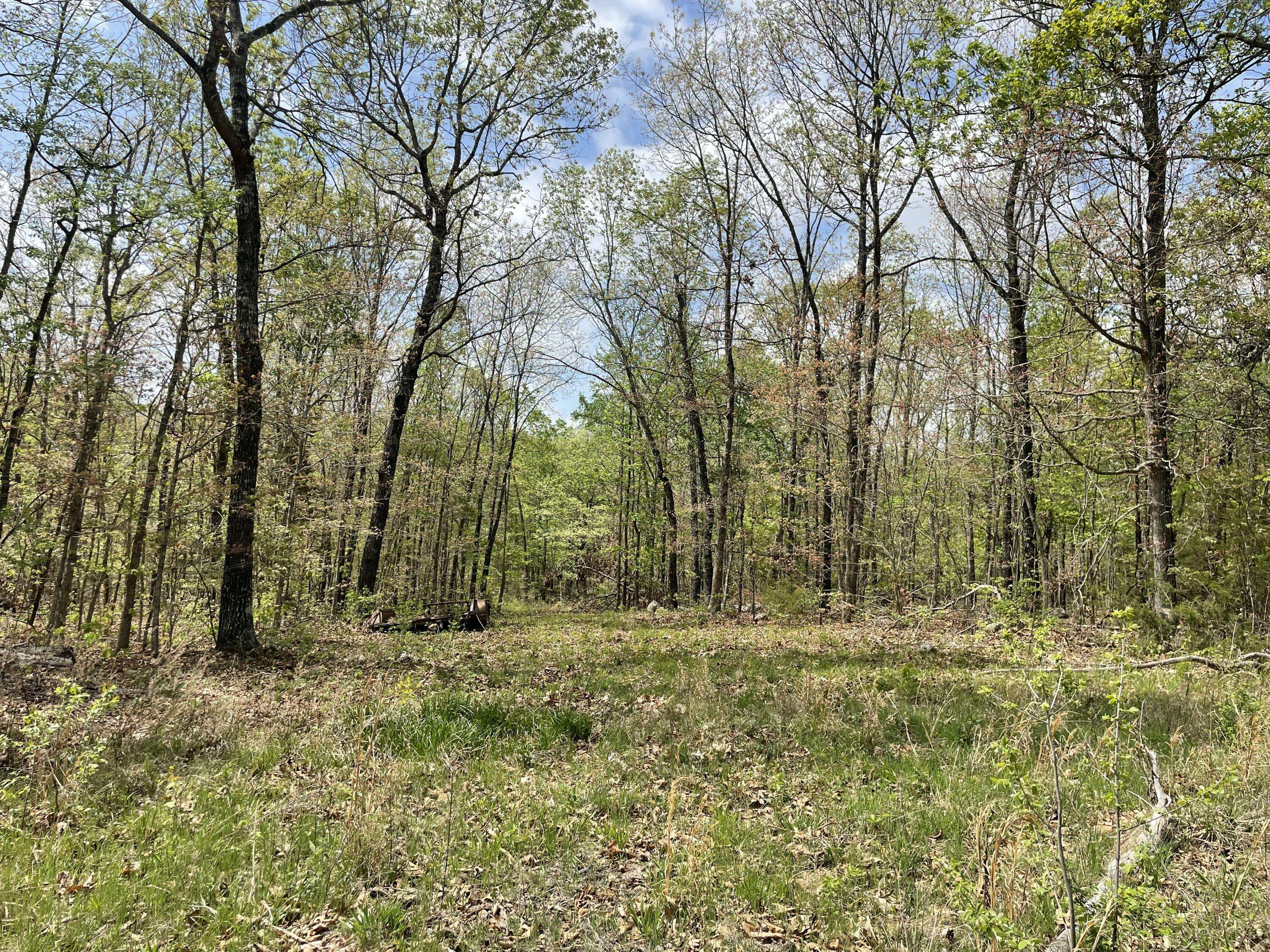 000 State Hwy N, Tract C, Ava, MO 65608