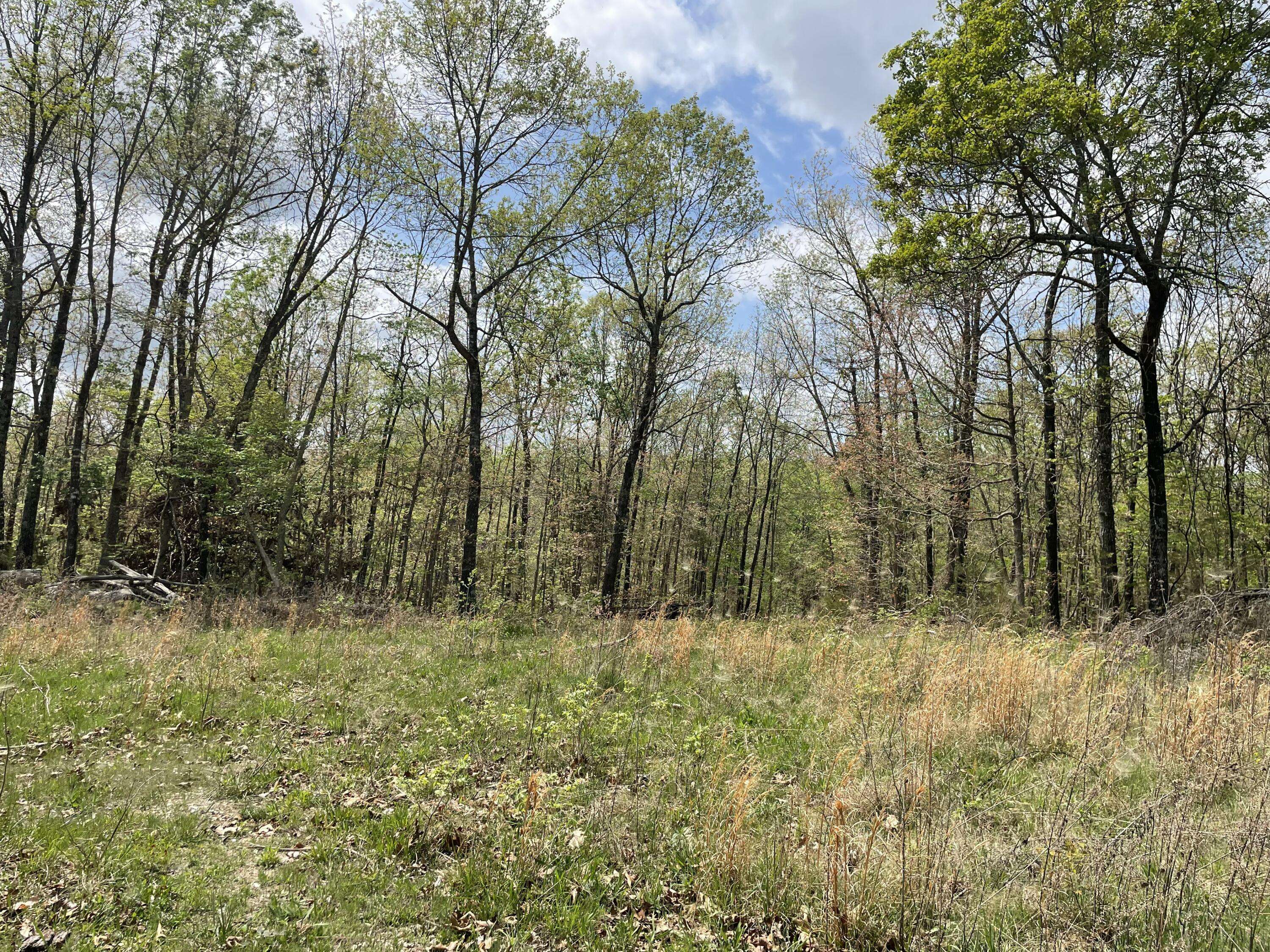 000 State Hwy N, Tract G, Ava, MO 65608