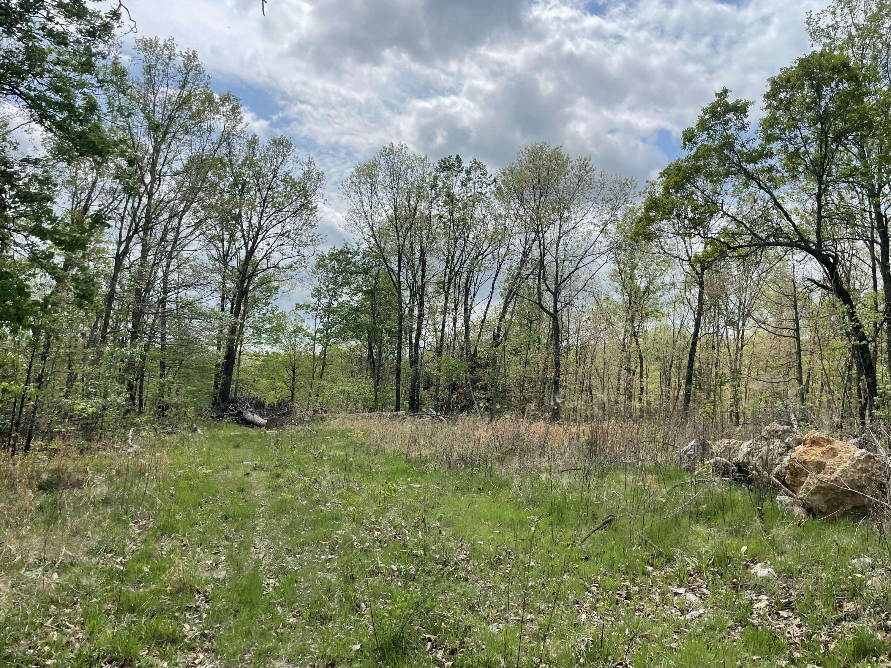 000 State Hwy N, Tract G, Ava, MO 65608