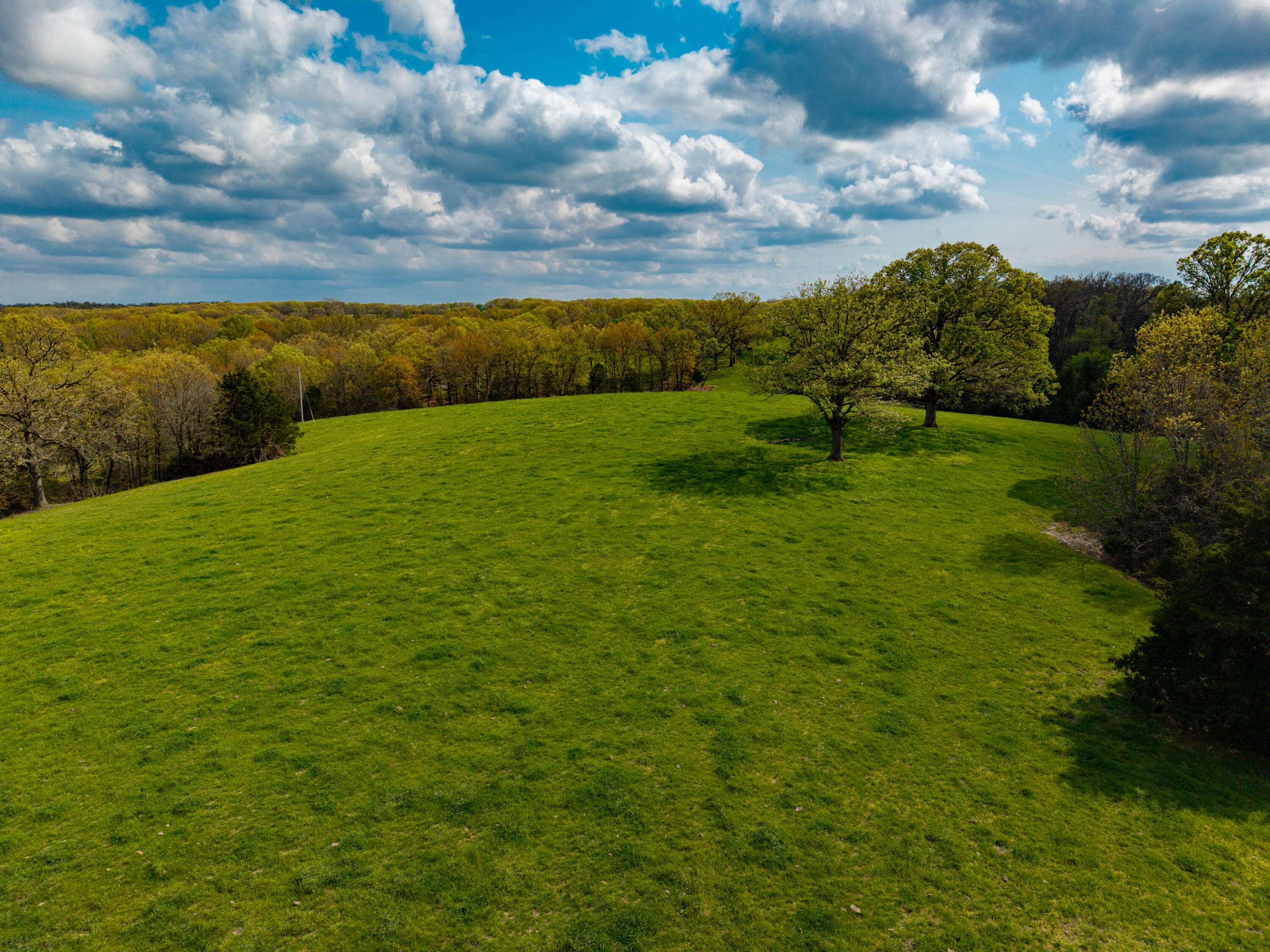 382 Iorg LN, Sparta, MO 65753
