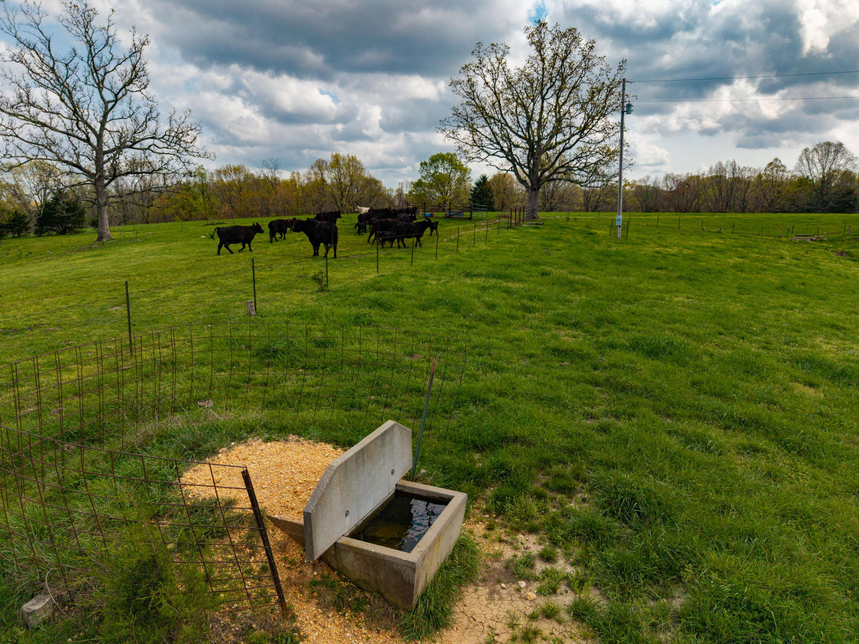 382 Iorg LN, Sparta, MO 65753
