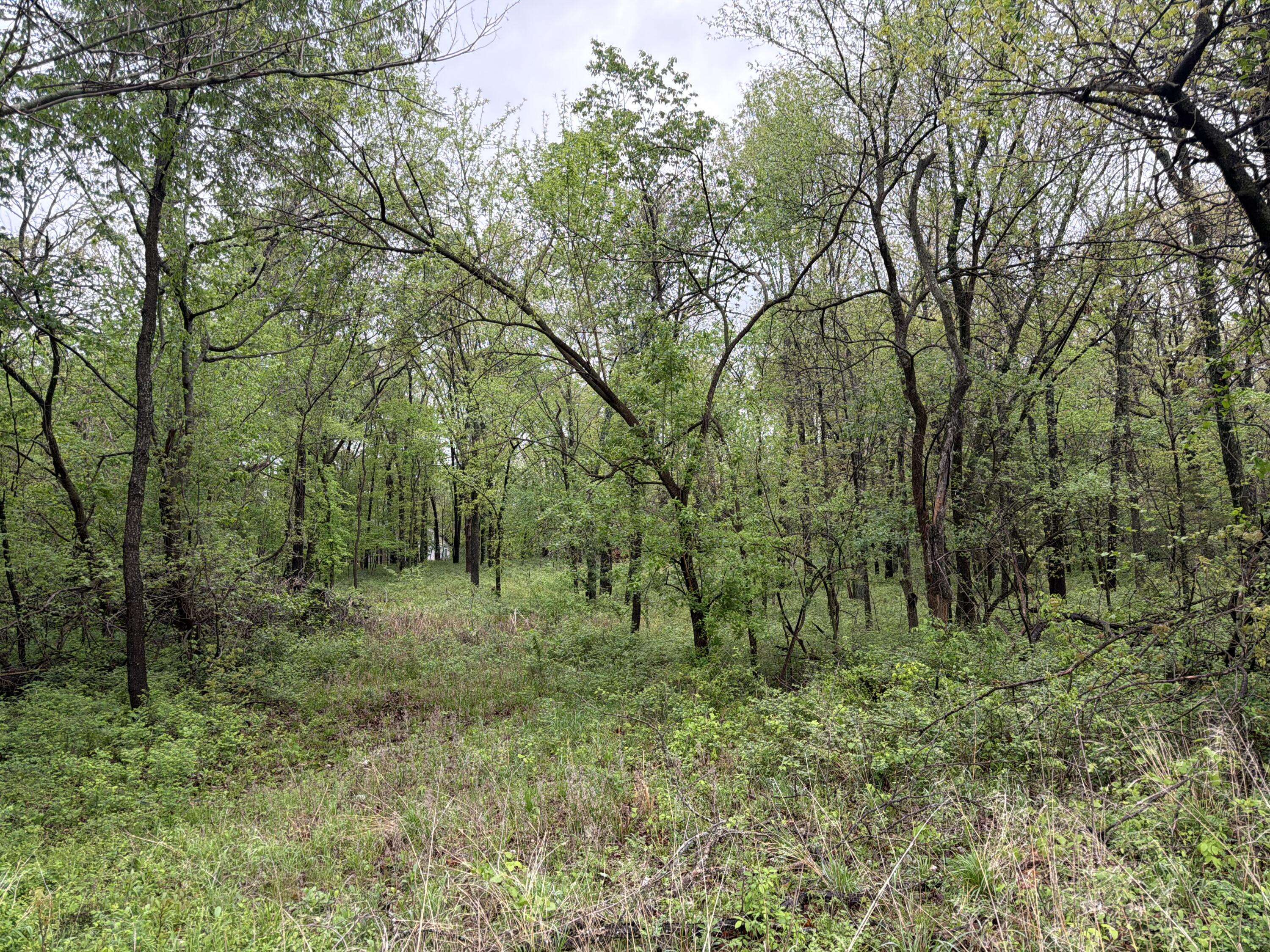 Xxx E Ivy RD, Carthage, MO 64836