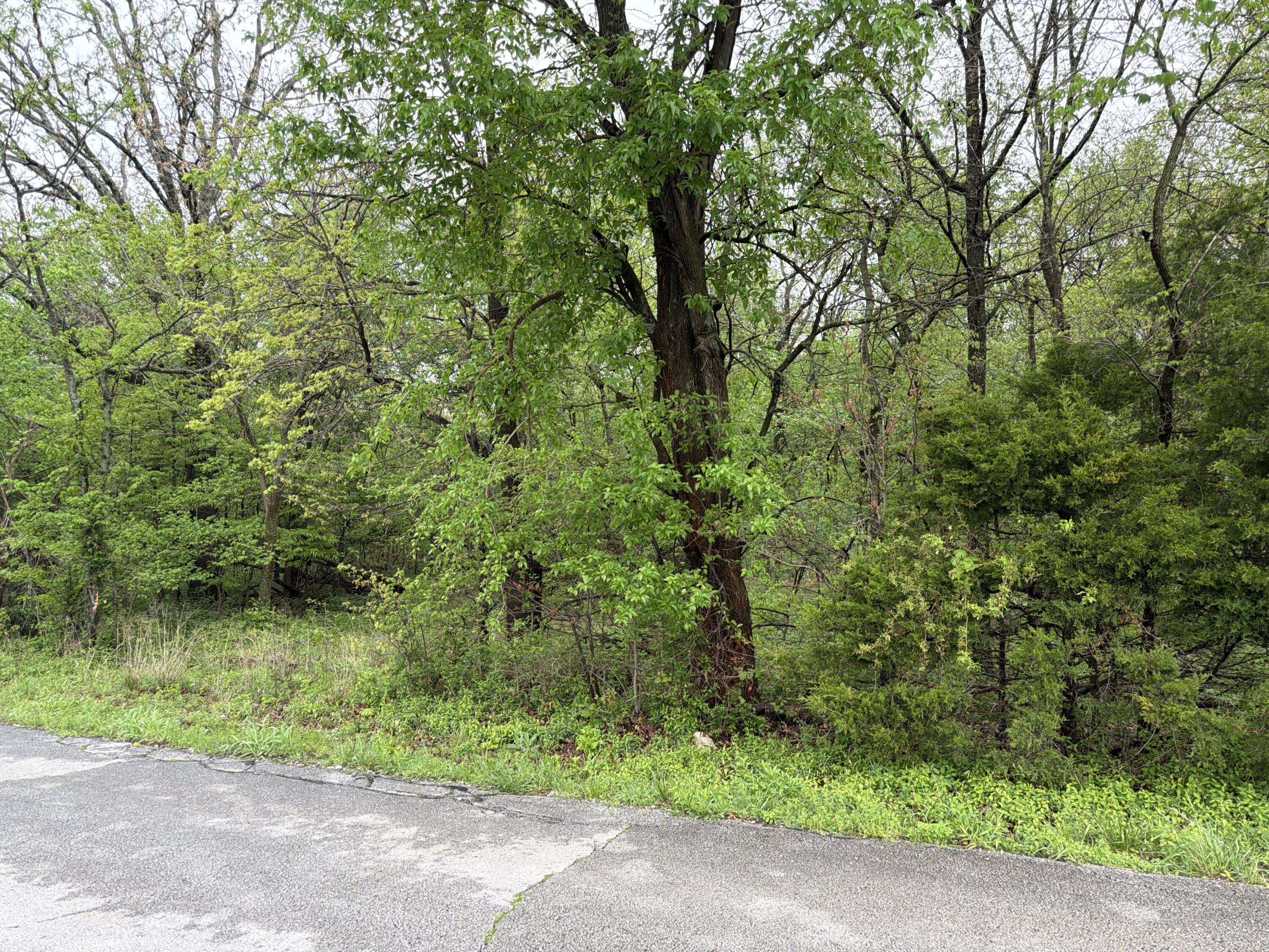 Xxx E Ivy RD, Carthage, MO 64836