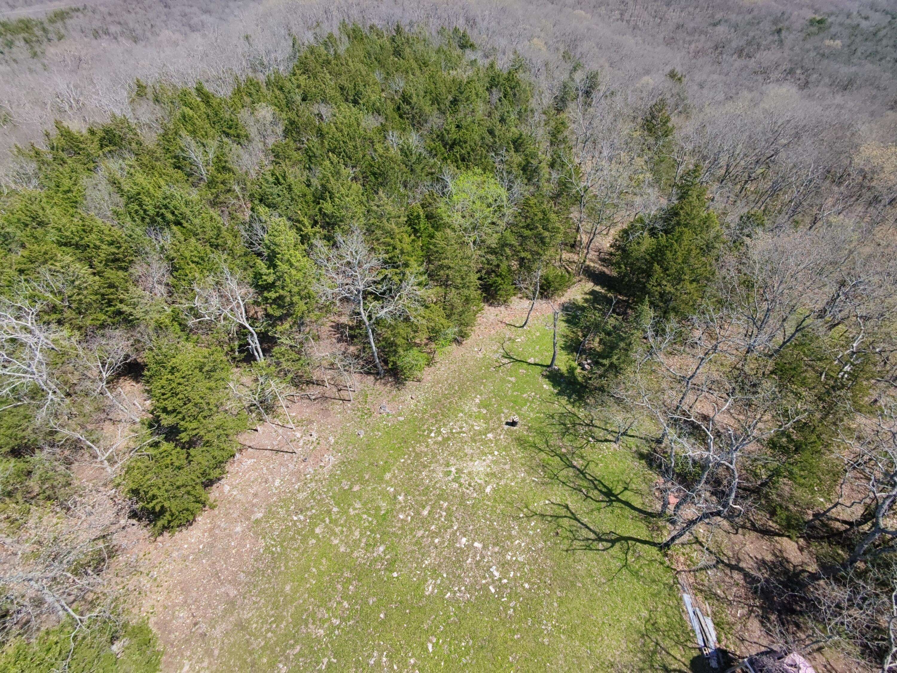 000 N Lies S Of 82 HWY, Osceola, MO 64776