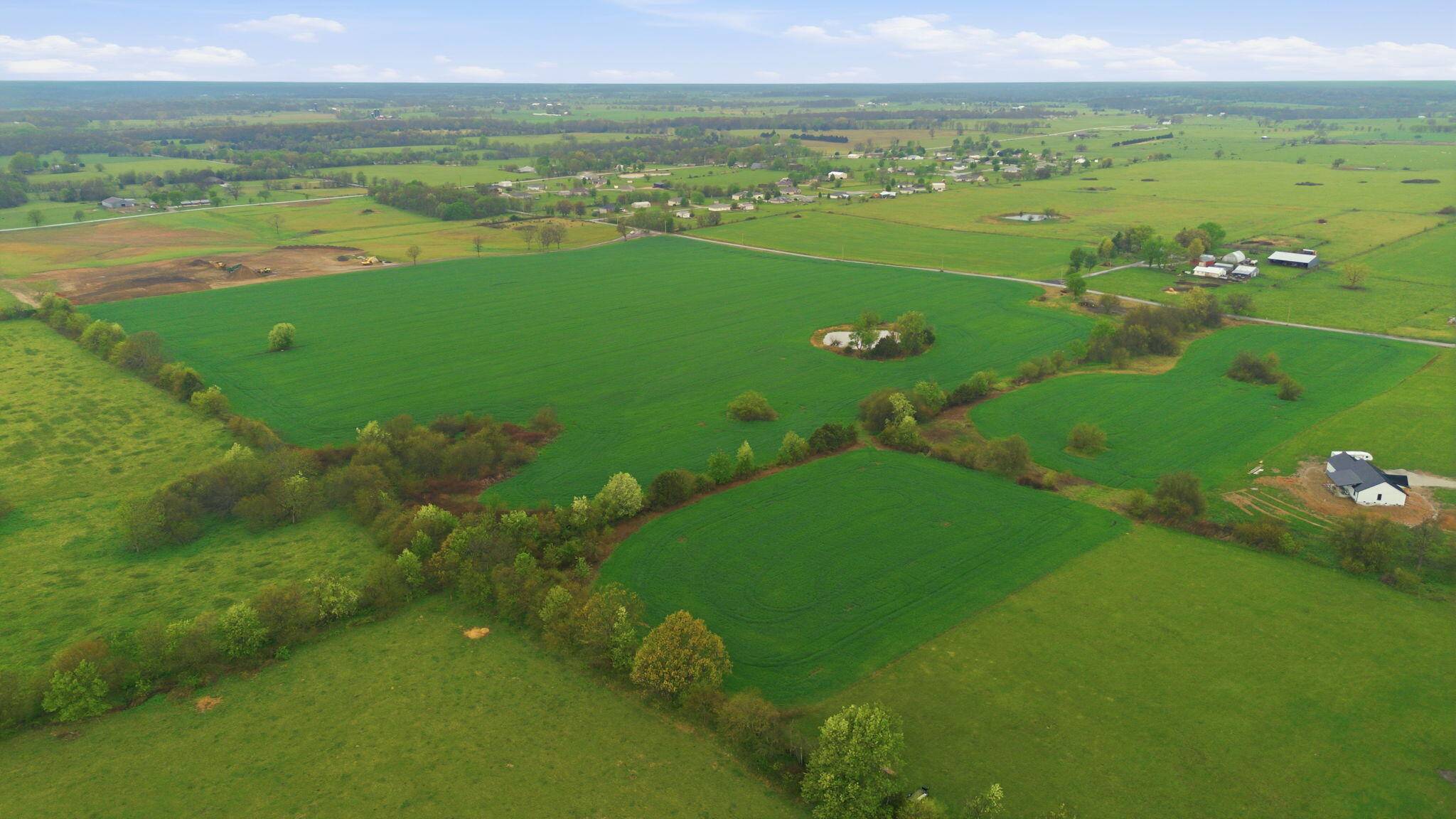 Lot 5 Lawrence 2160, Marionville, MO 65705
