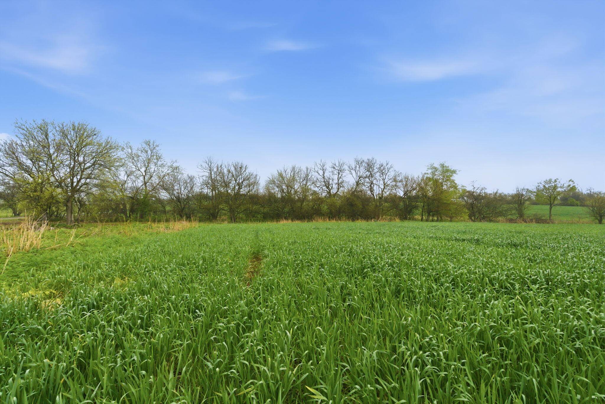 Lot 5 Lawrence 2160, Marionville, MO 65705