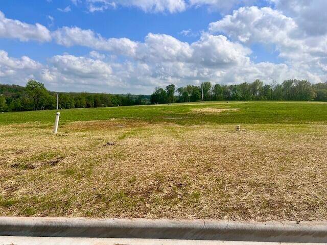 Lot 21 Anthony Park 6th Addition, Springfield, MO 65810