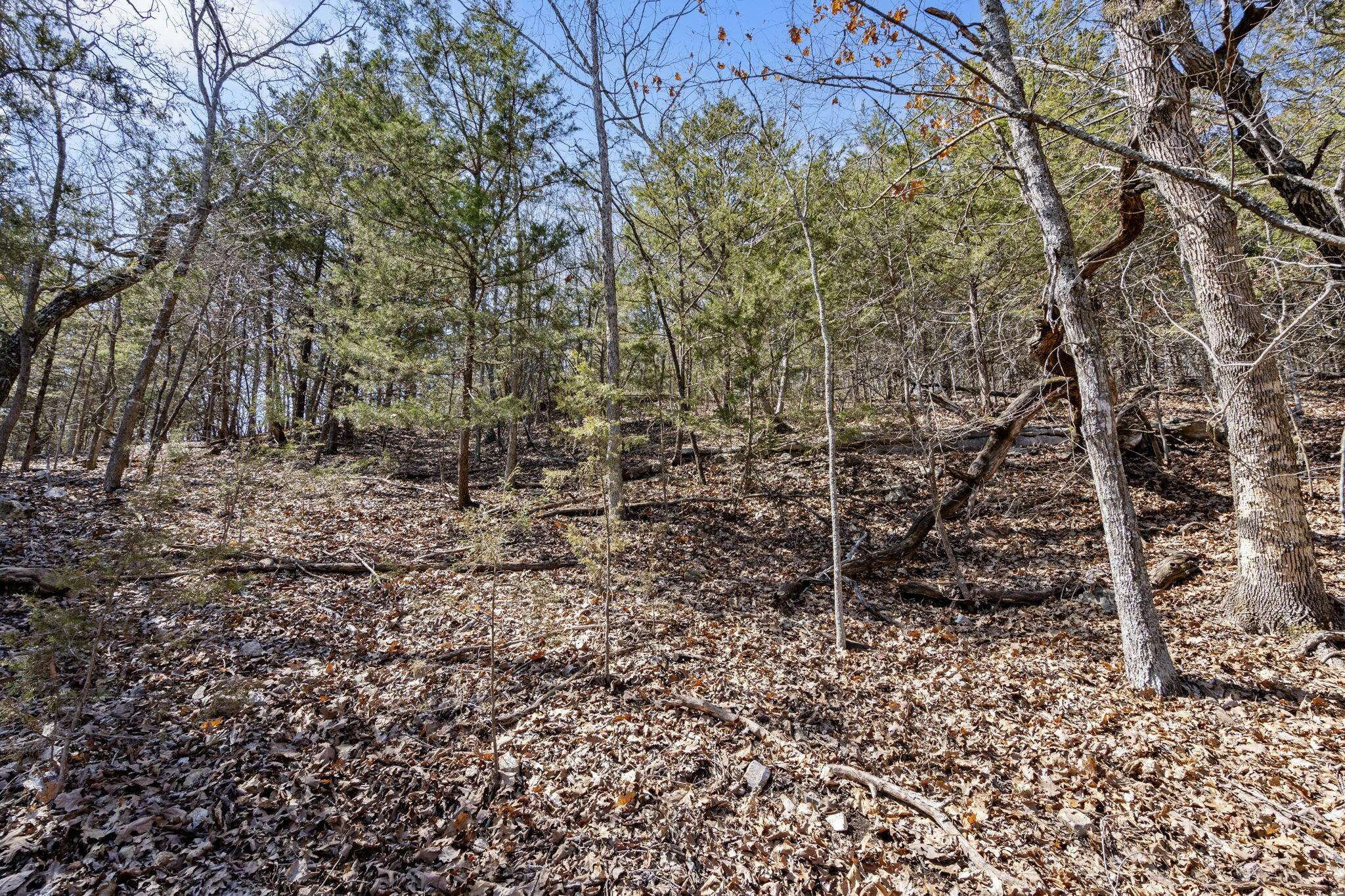 00 Map LN, Branson, MO 65616