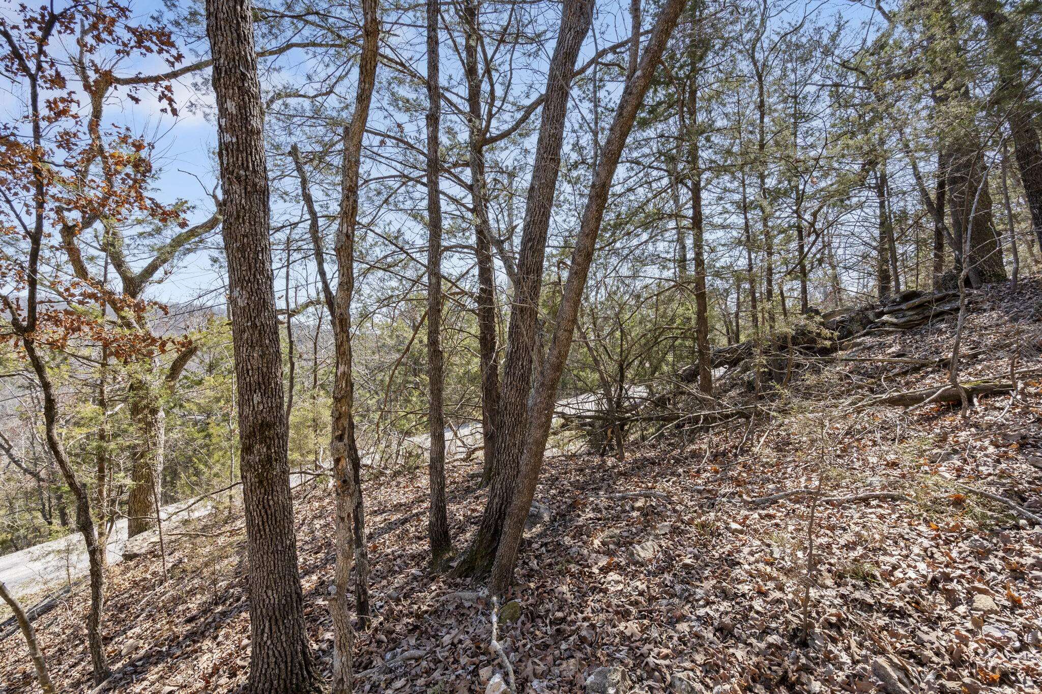 00 Map LN, Branson, MO 65616