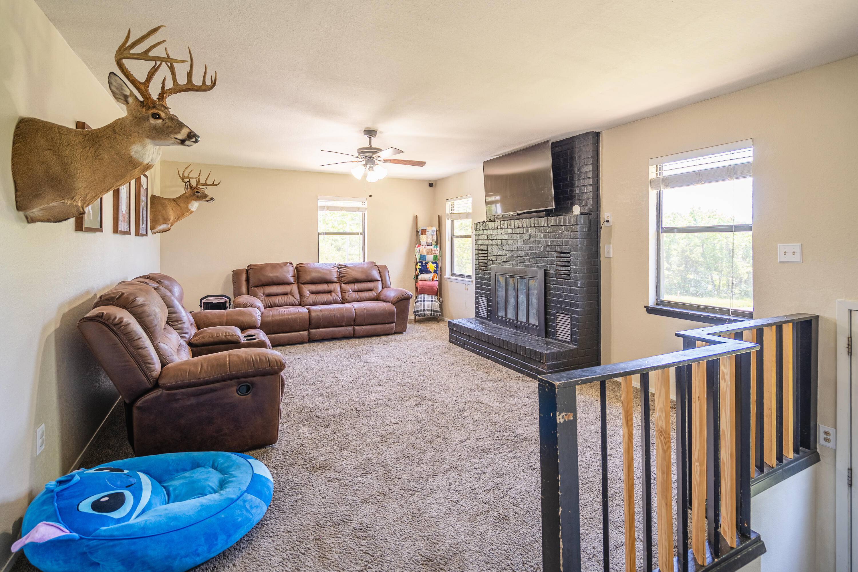 8395 County Road 8970, West Plains, MO 65775