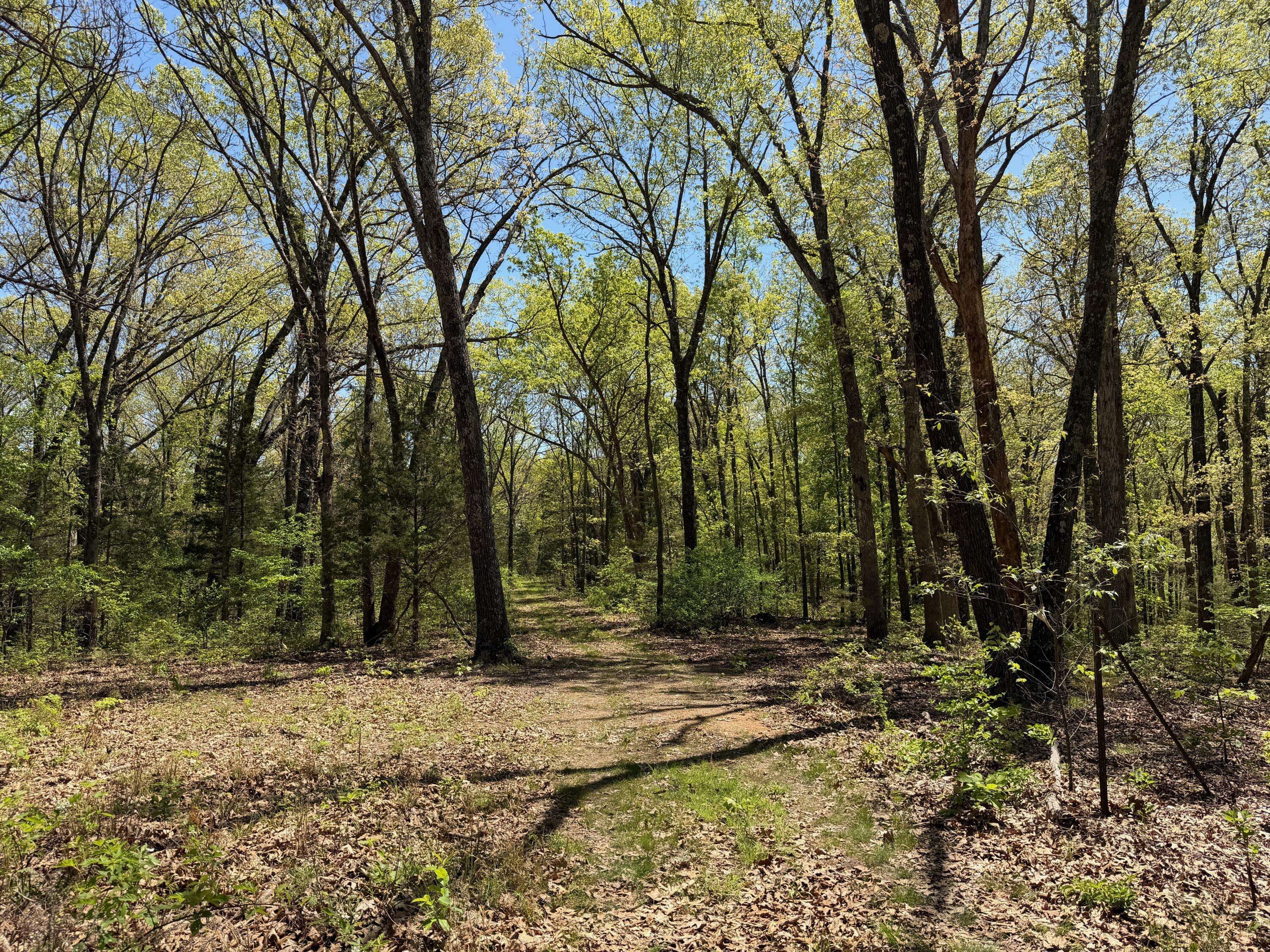 000 Corner RD, Rogersville, MO 65742