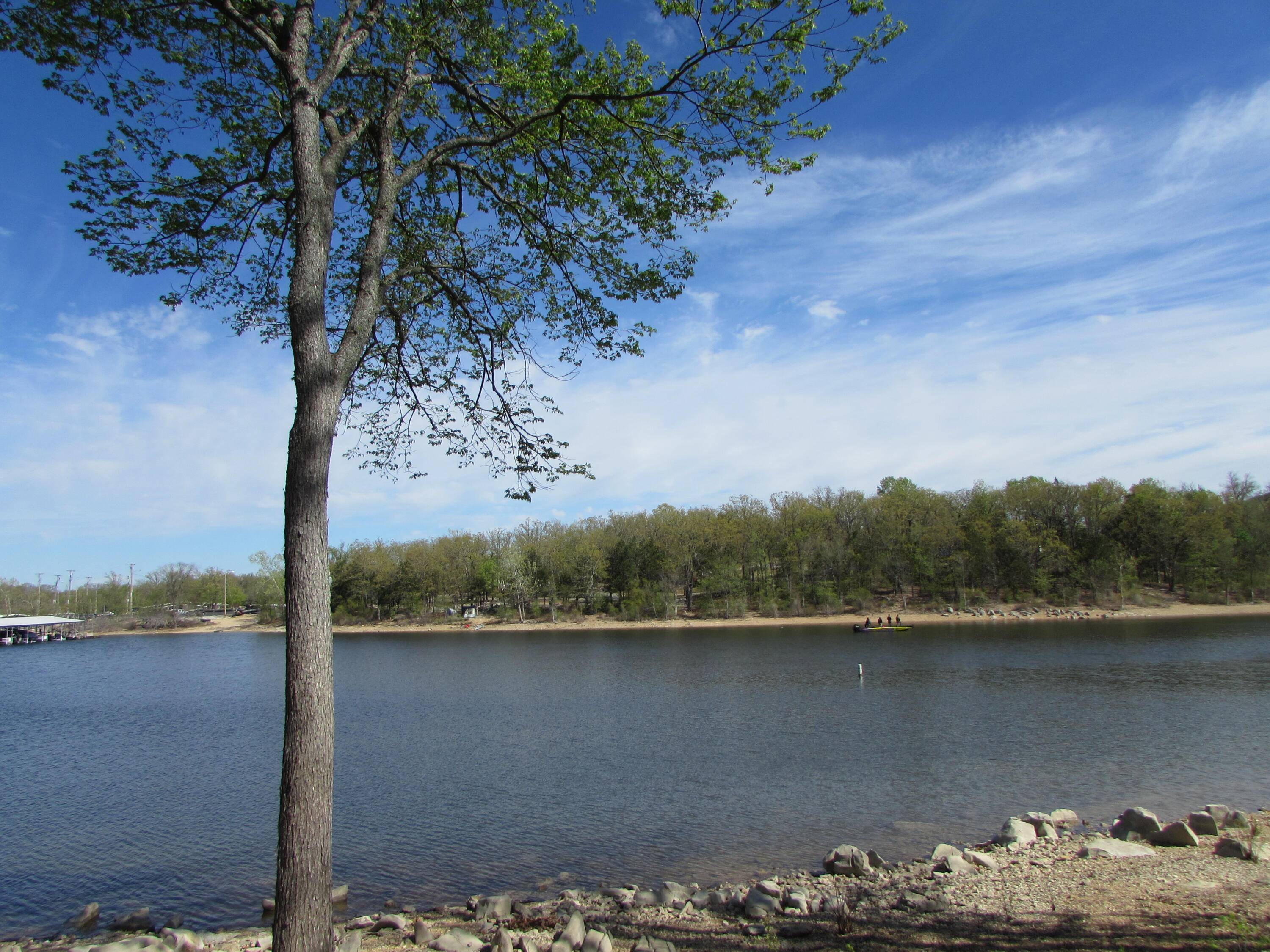 280 Tina ST #Unit 6, Hollister, MO 65672