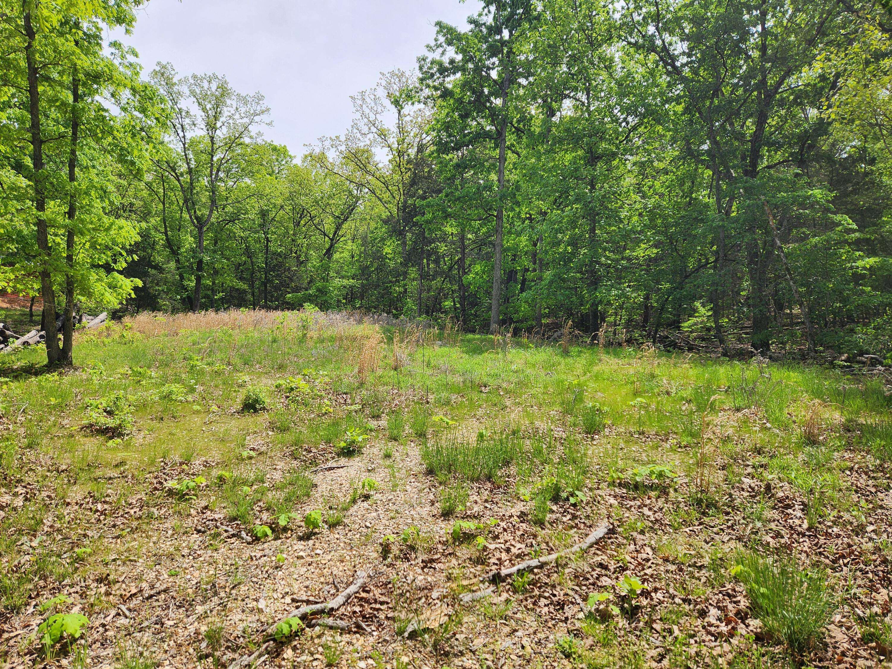 110 Tierra Trail TRL, Lampe, MO 65681