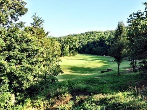 1311 Stoneycreek LN, Branson West, MO 65737