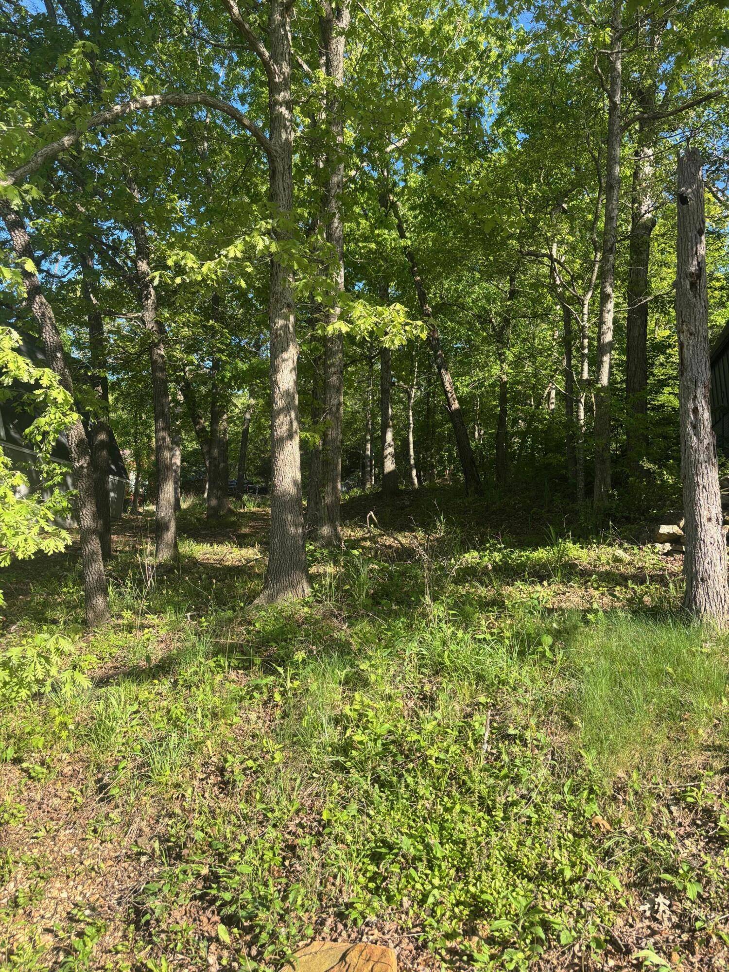 Tbd Black Oak Resort LN, Lampe, MO 65681