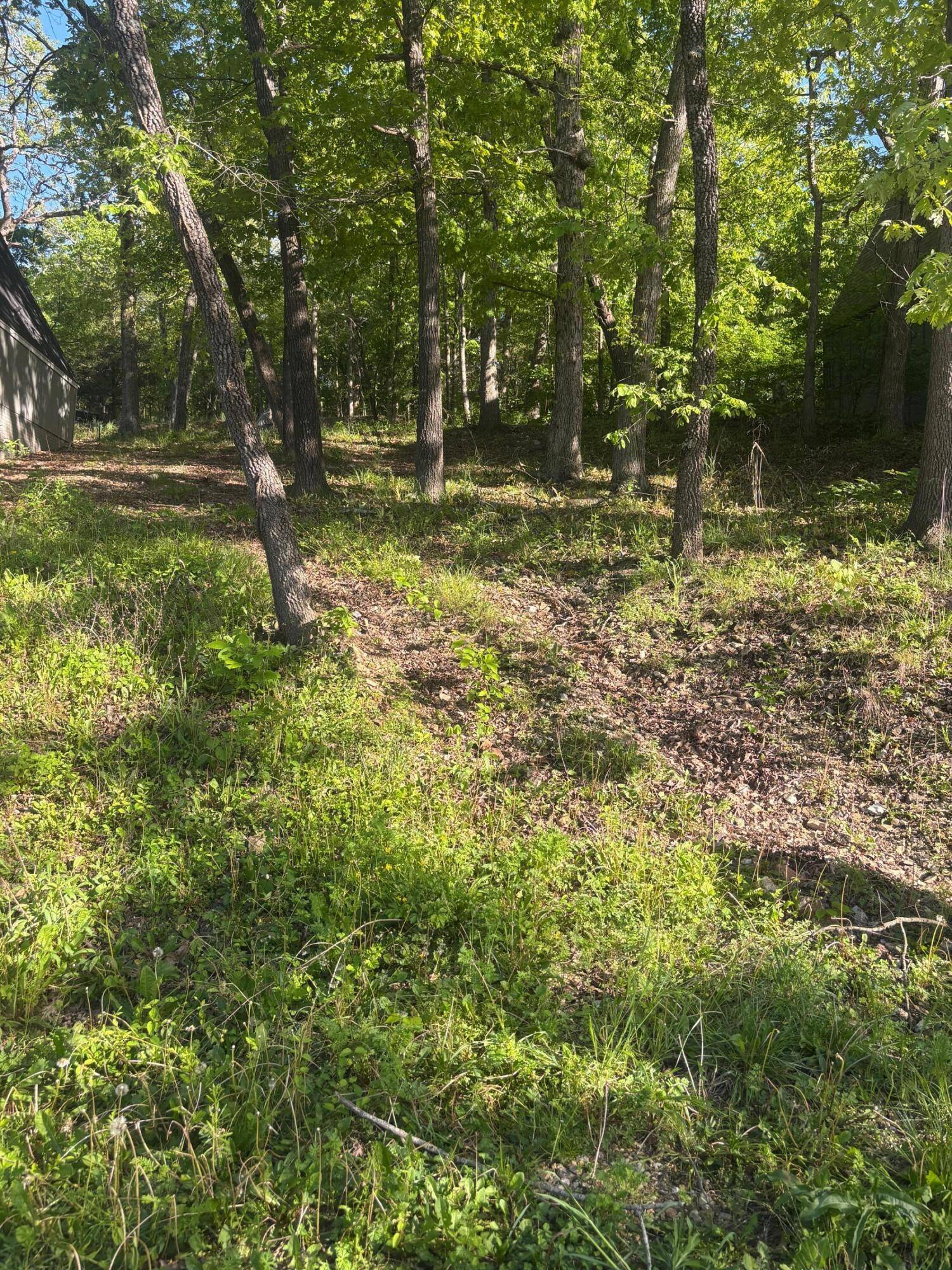 Tbd Black Oak Resort LN, Lampe, MO 65681