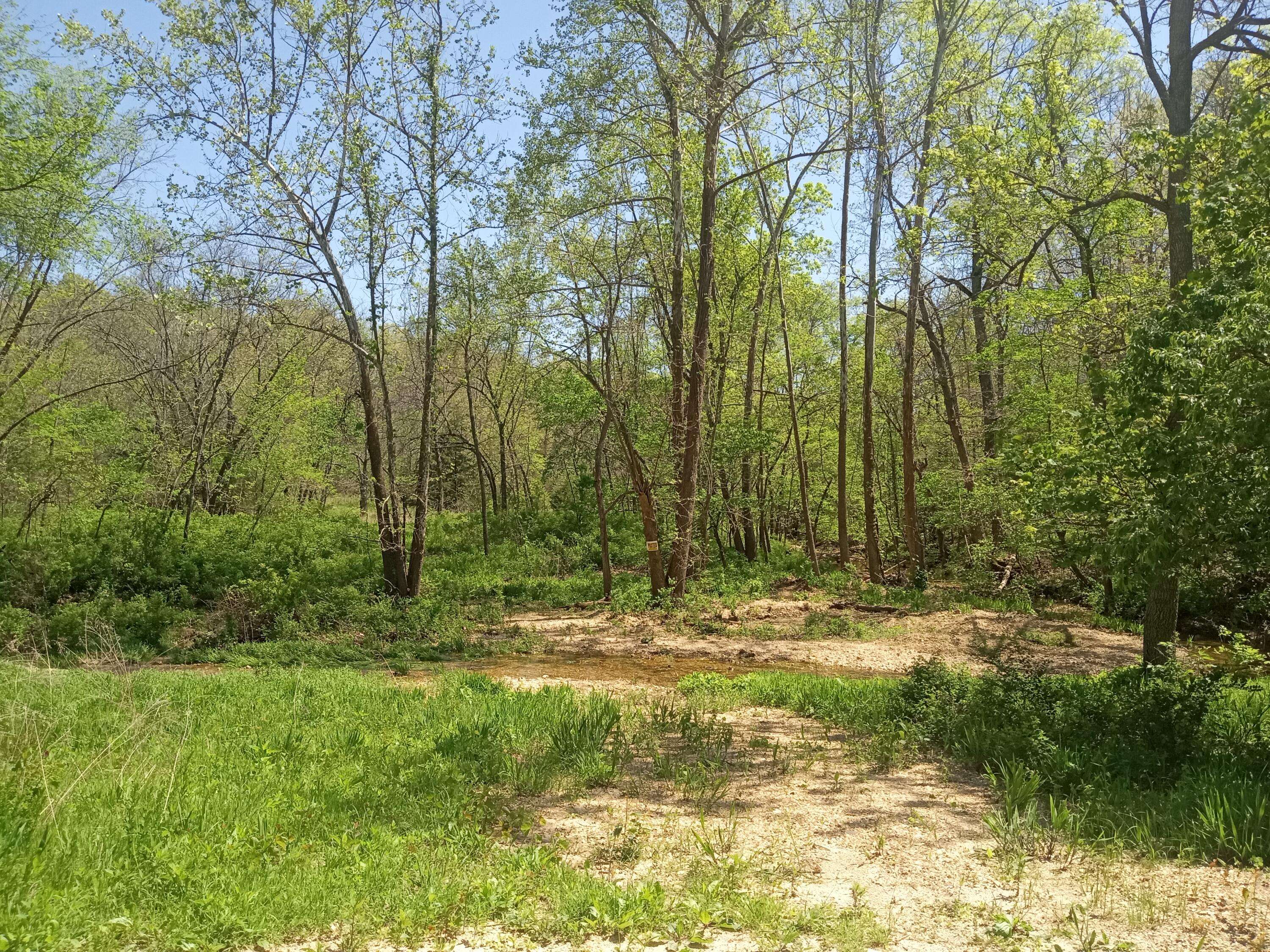000 Timber CIR, Tunas, MO 65764