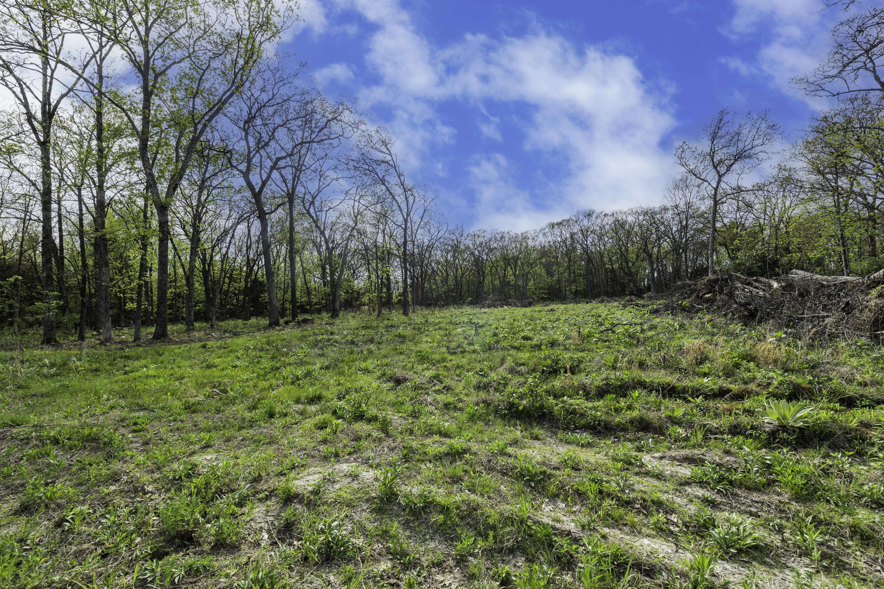 000 County Road 238, Wheatland, MO 65779