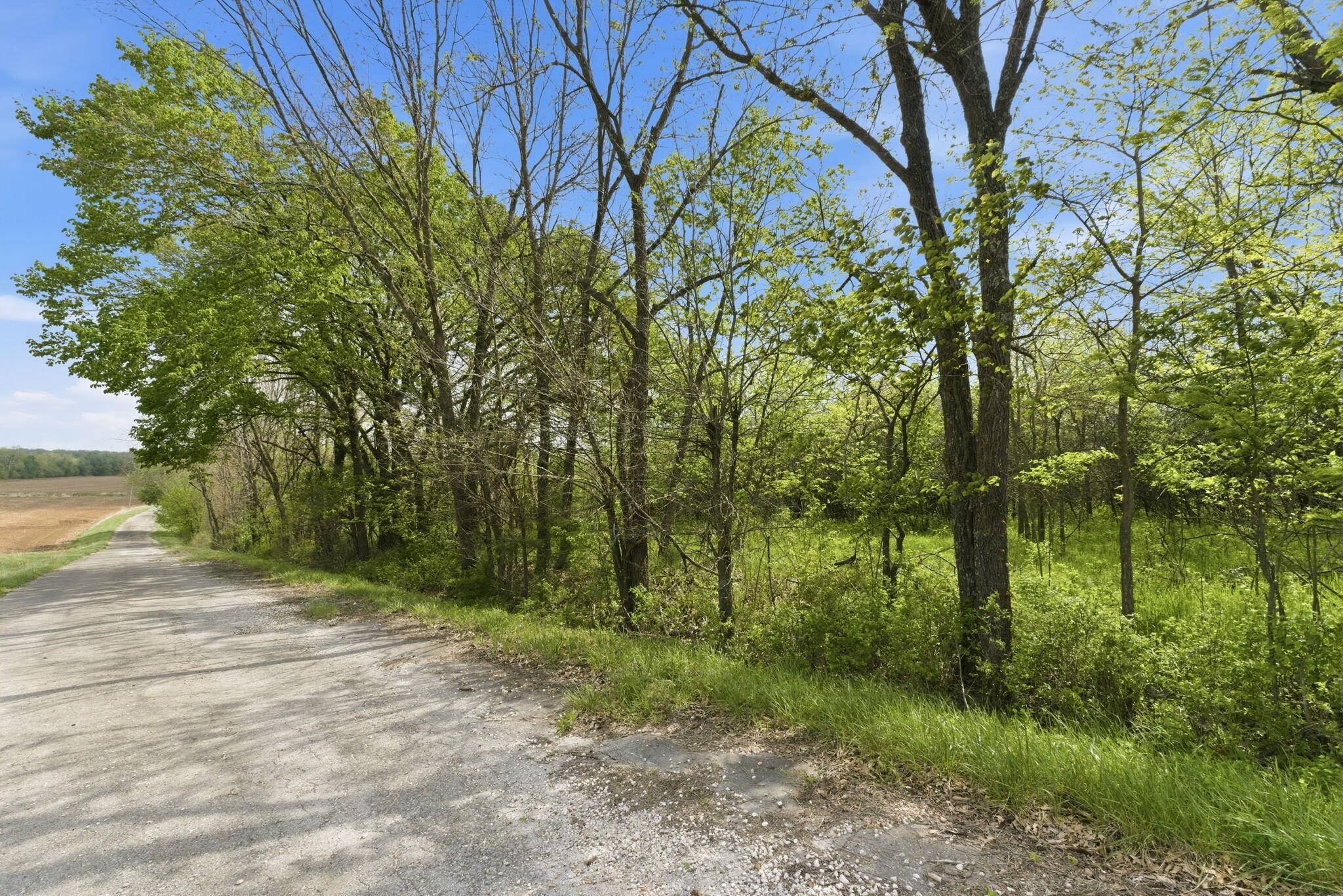 0 S Highway J, Stockton, MO 65785