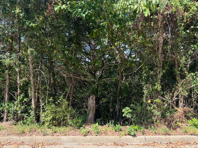 Lot 22 Rose Oneill DR, Branson, MO 65616