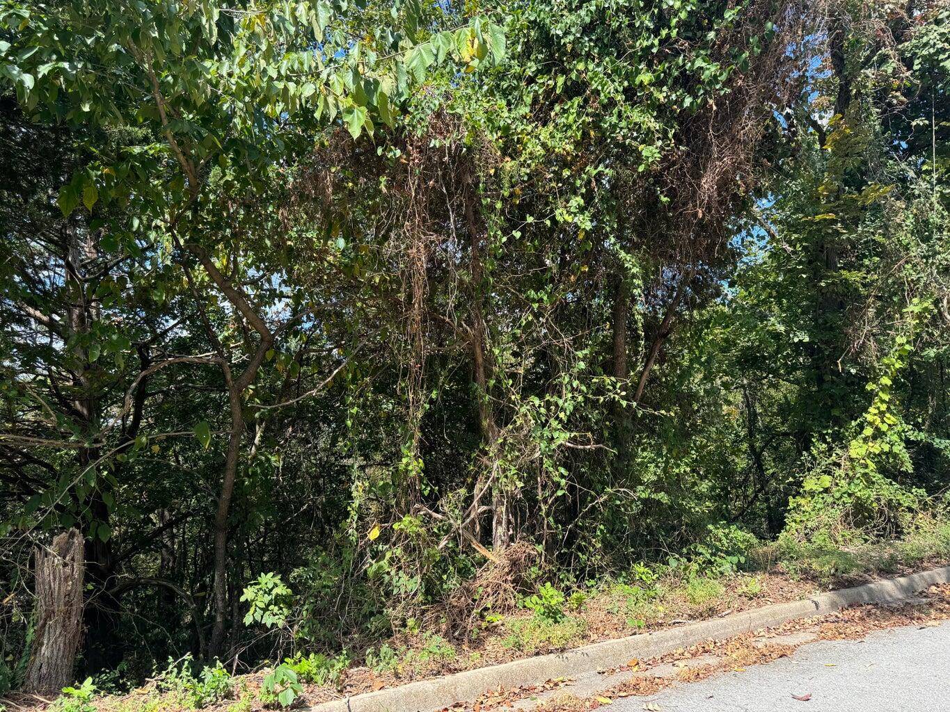 Lot 22 Rose Oneill DR, Branson, MO 65616