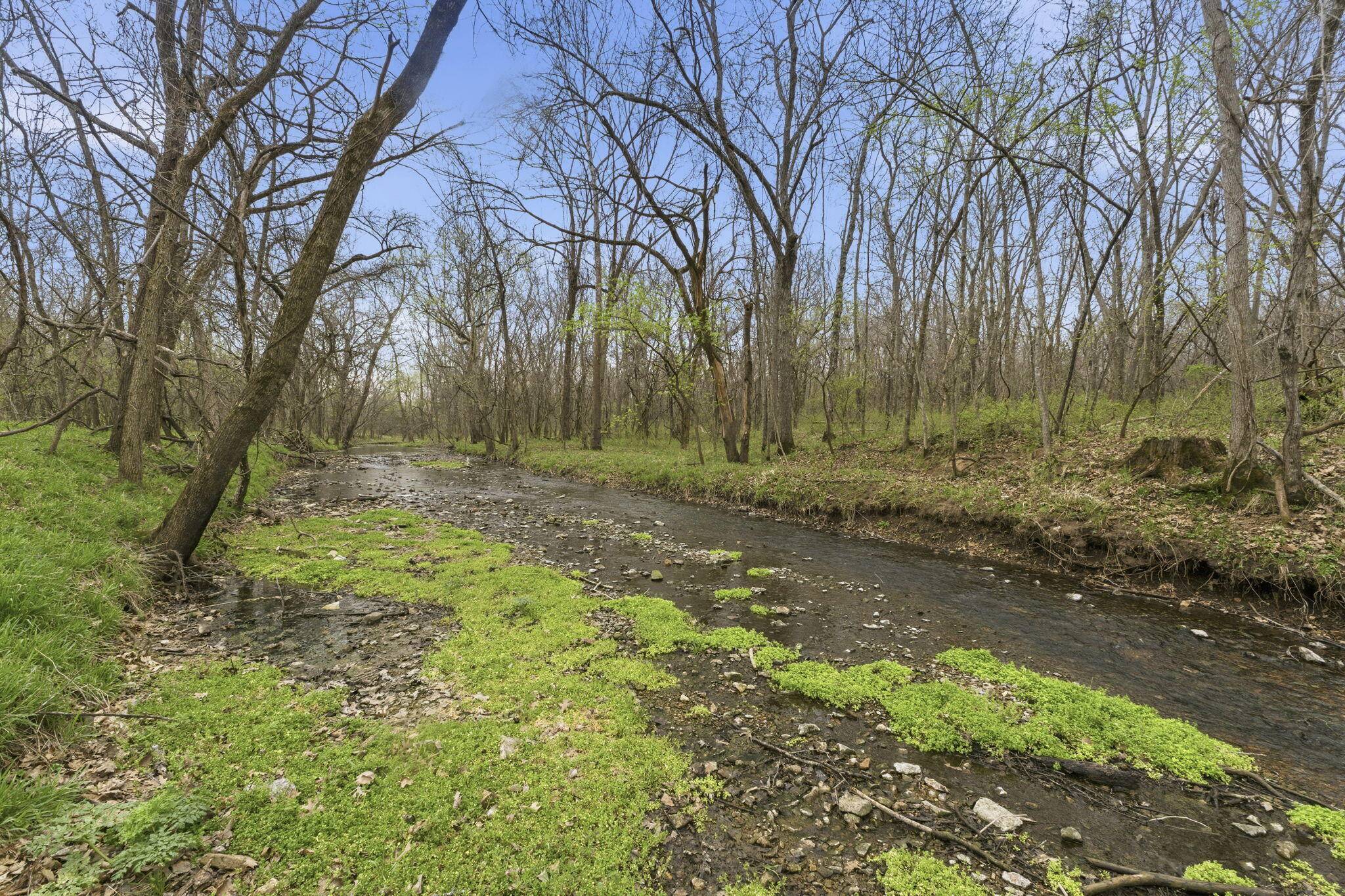 Lot 5 Ireson Estates, Stockton, MO 65785