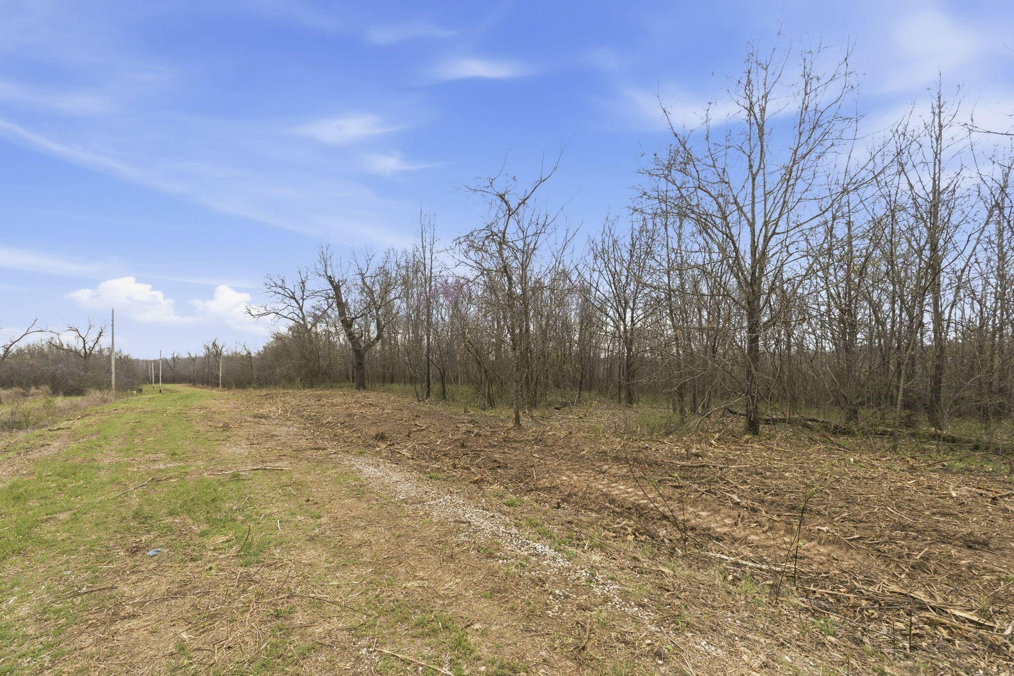 Lot 12 Ireson Estates, Stockton, MO 65785