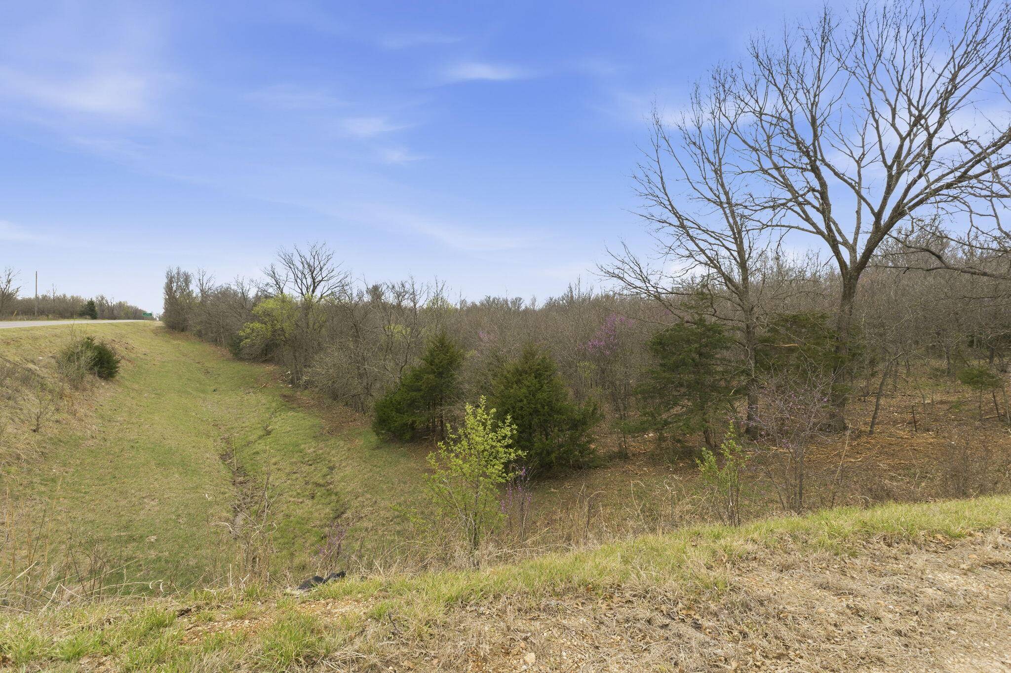 Lot 14 Ireson Estates, Stockton, MO 65785