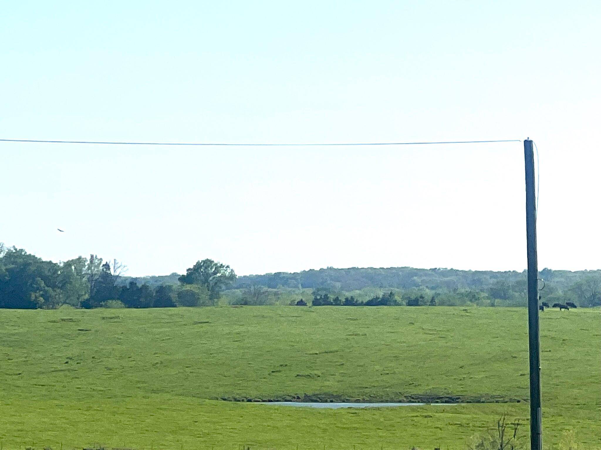 000 State Highway 65, Preston, MO 65732
