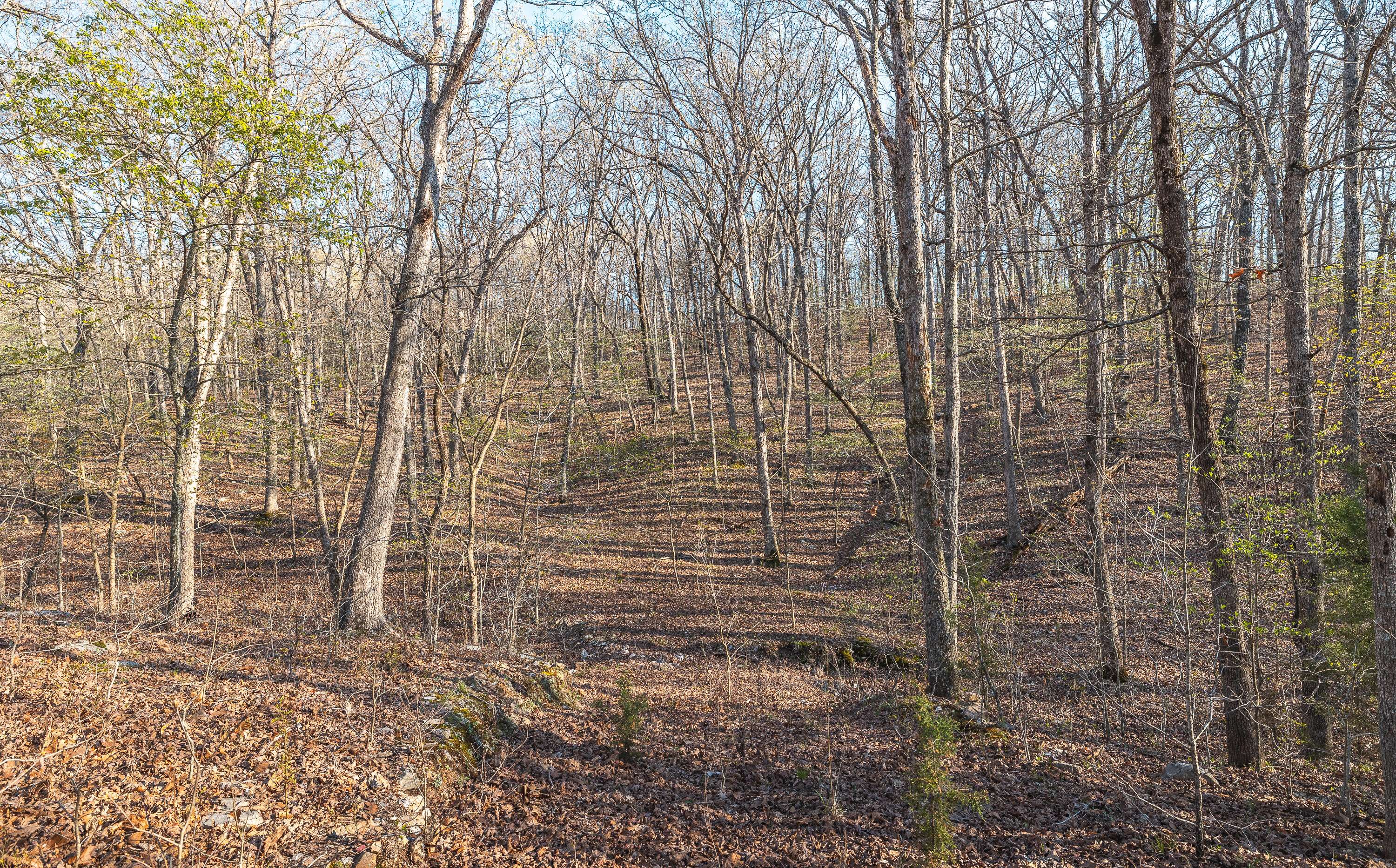 83 Minx Valley DR, Roach, MO 65787