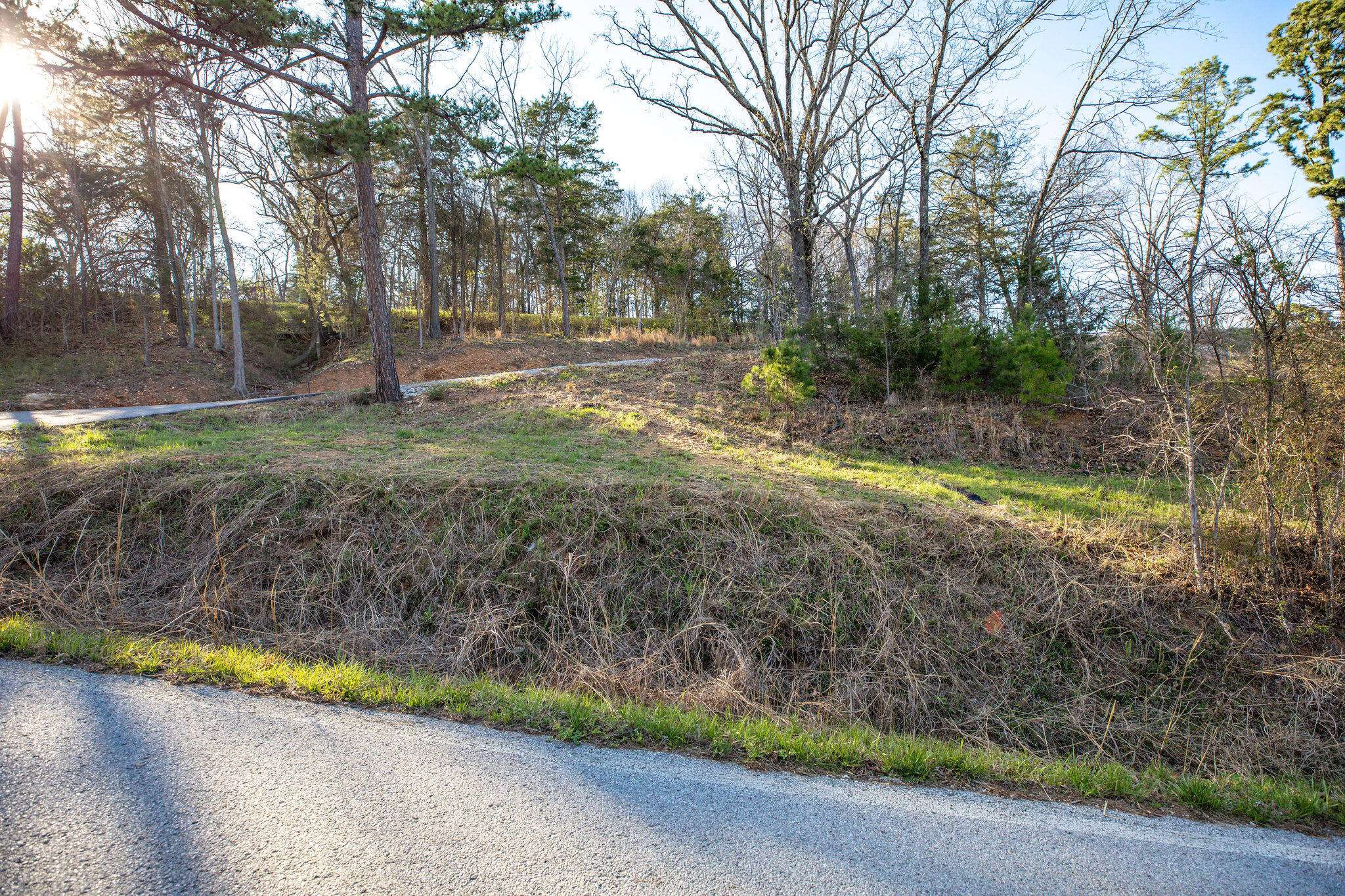 Lot 2 A Grizzly Ridge, Blue Eye, MO 65611