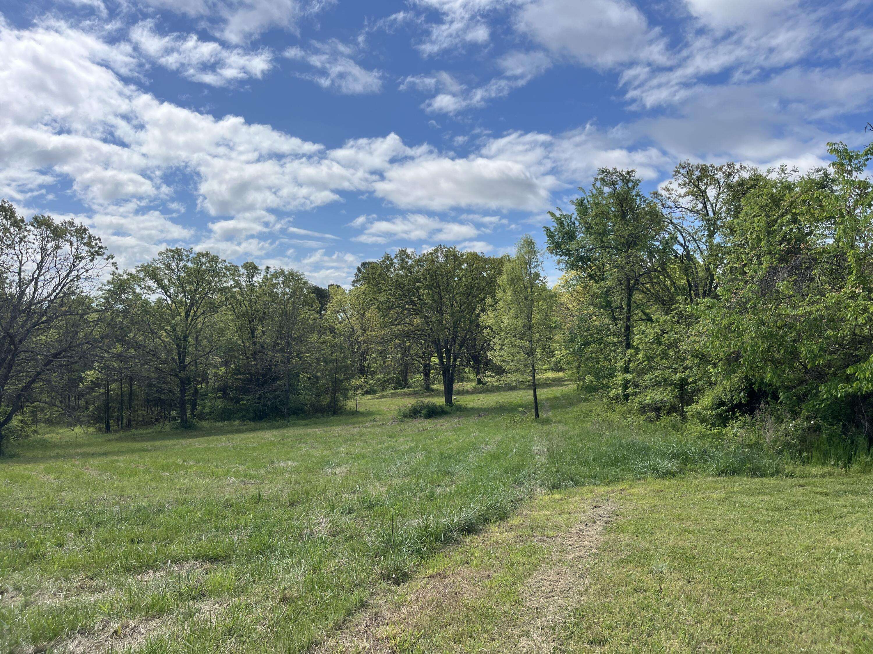 000 County Road 350, Drury, MO 65638
