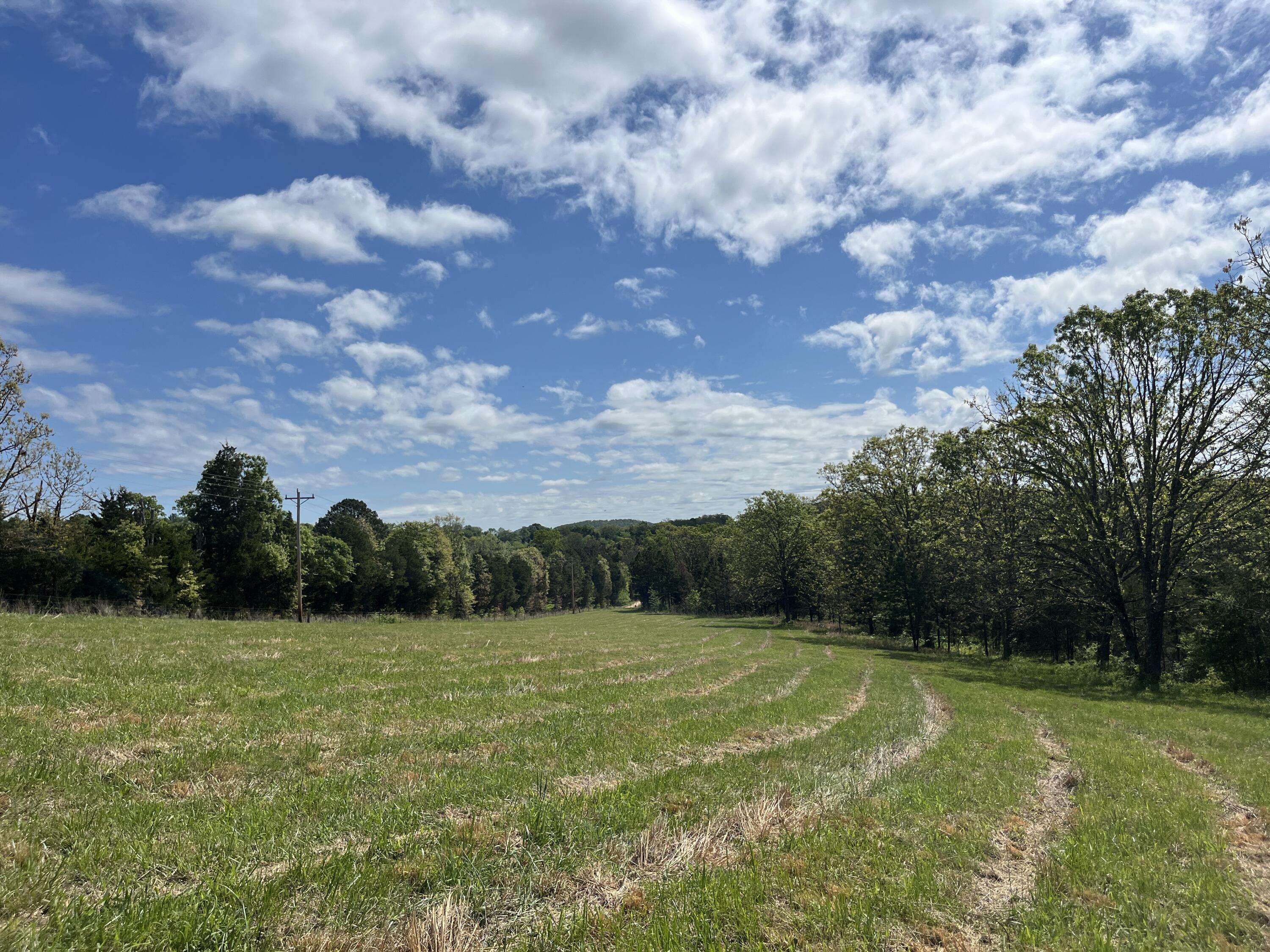 000 County Road 350, Drury, MO 65638