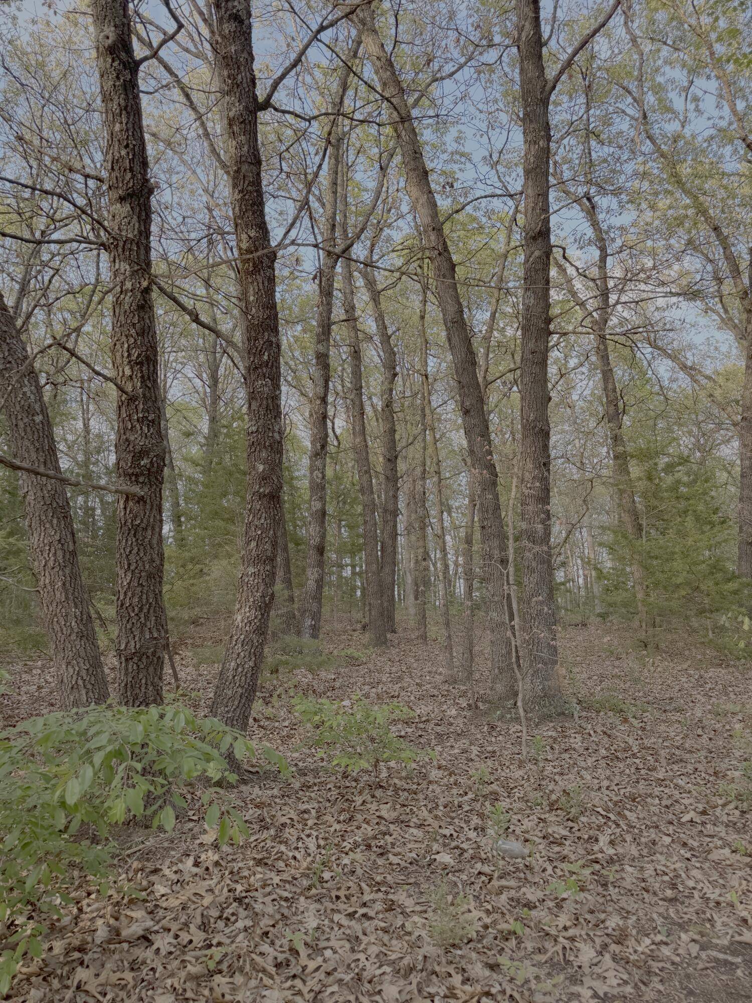 5825 S 2021st RD, Humansville, MO 65674
