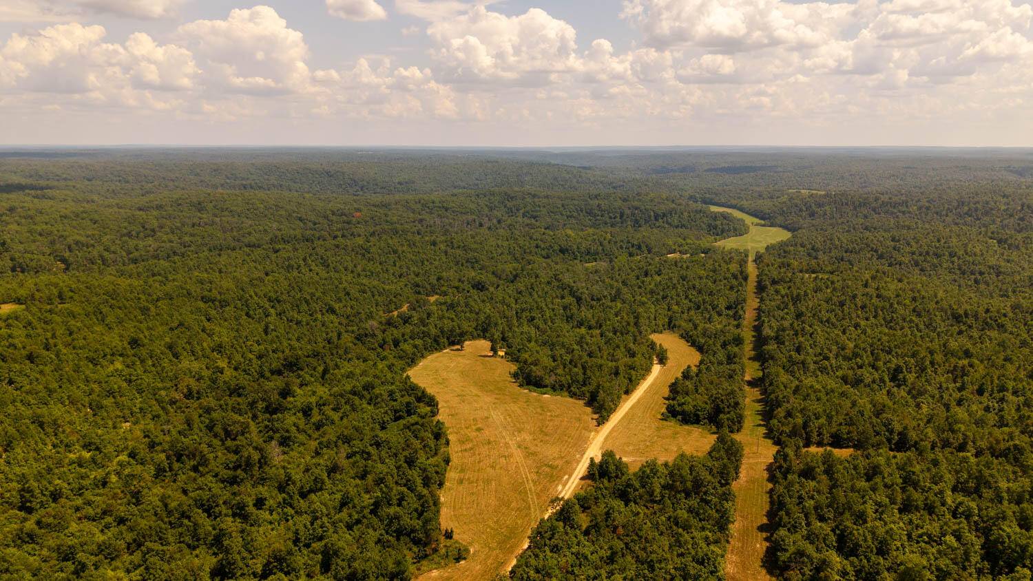 Tbd County Road 443, Birch Tree, MO 65438