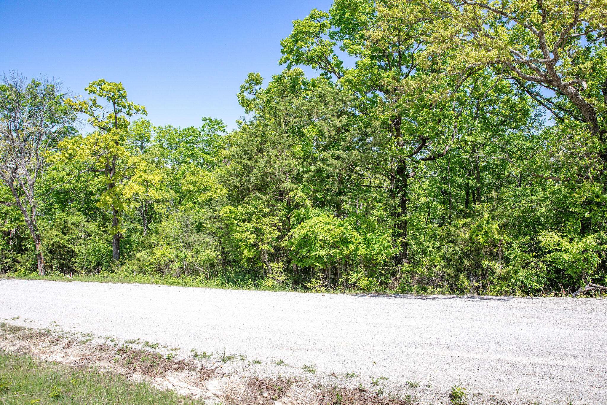 250 Oak Drive Lots 2 & 23, Ridgedale, MO 65739
