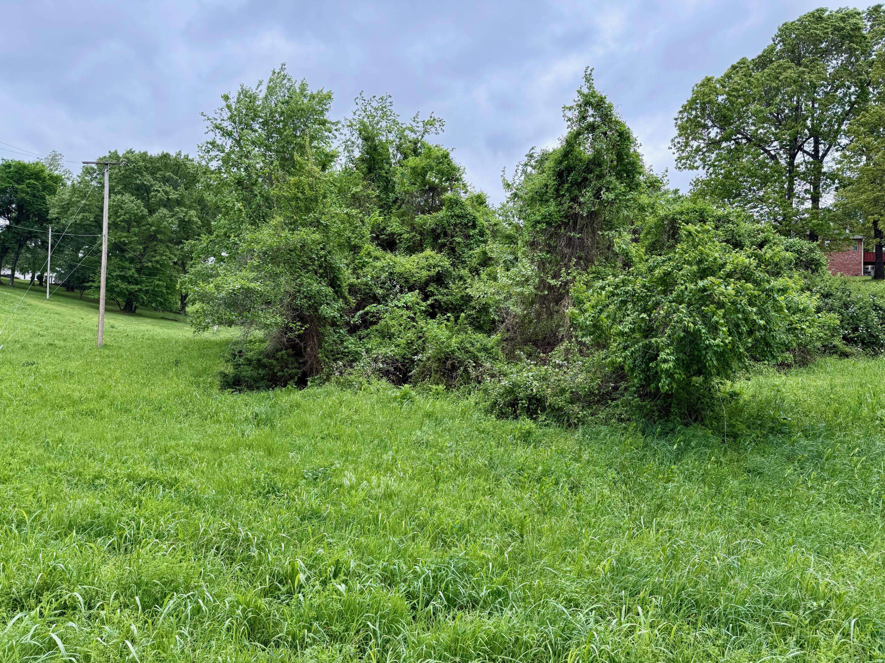 Xxx Deer Ridge RD, Neosho, MO 64850