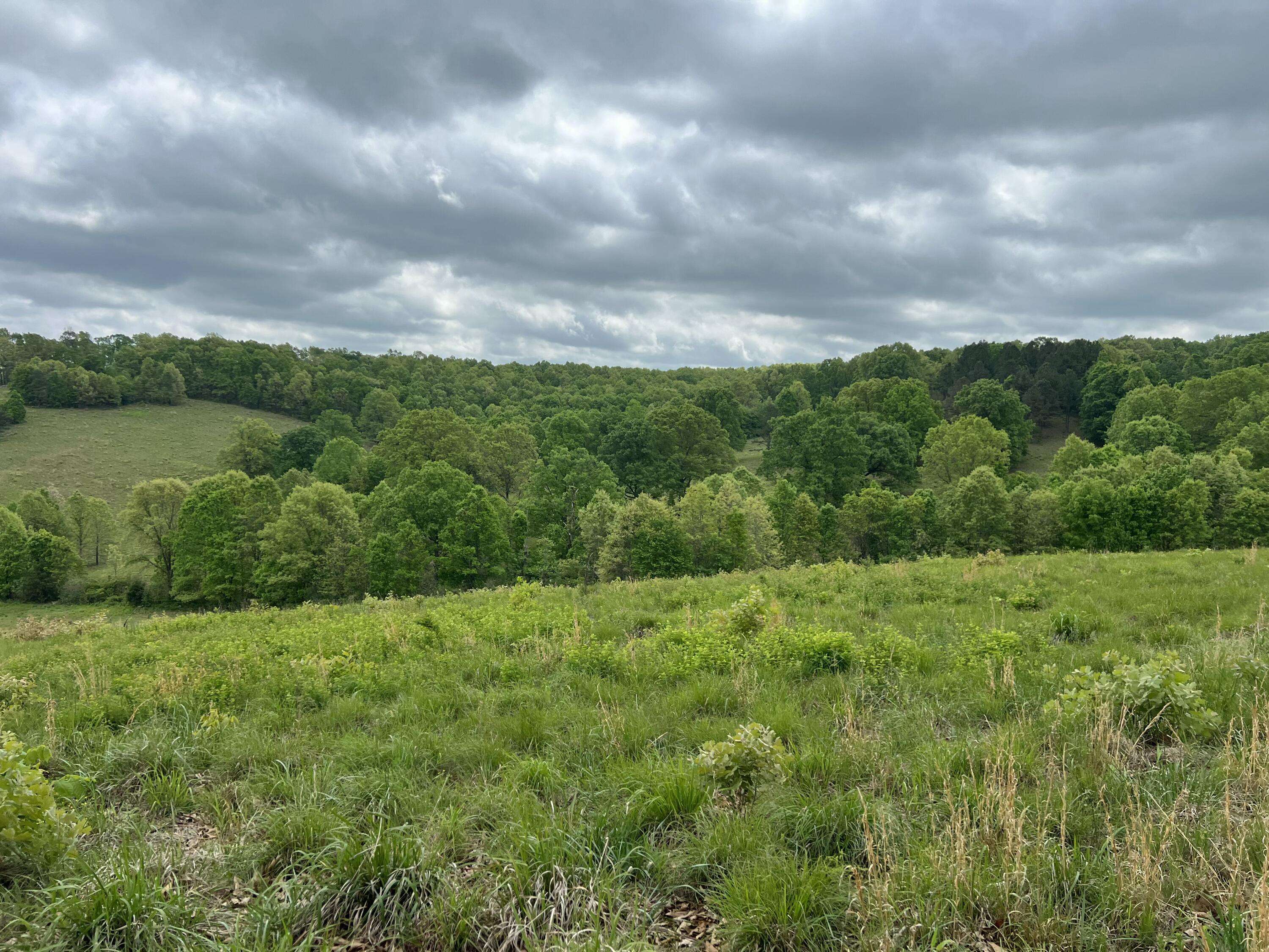 Co Rd 321 Route 5, Ava, MO 65608