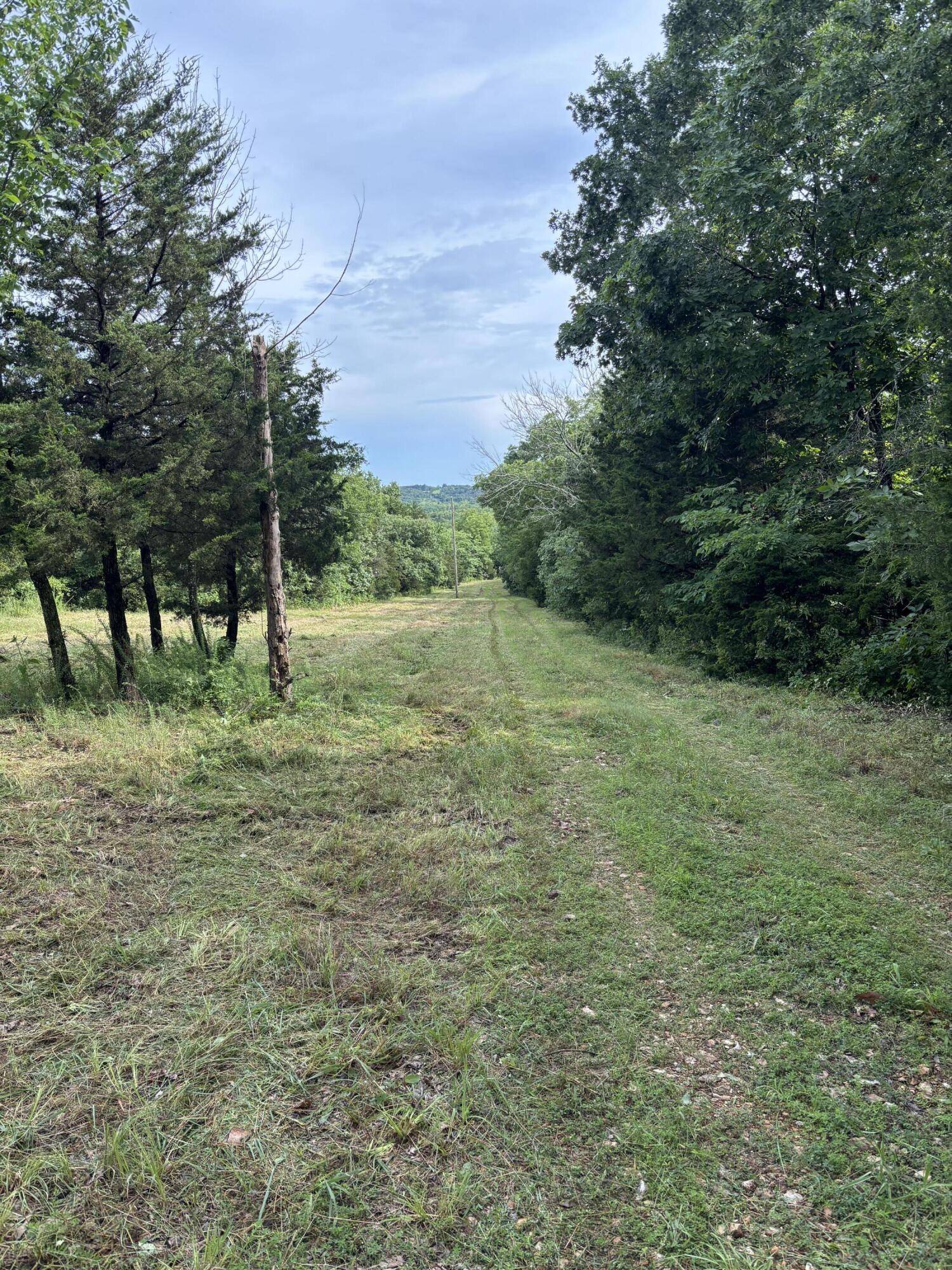 000 Highway T, Weaubleau, MO 65774