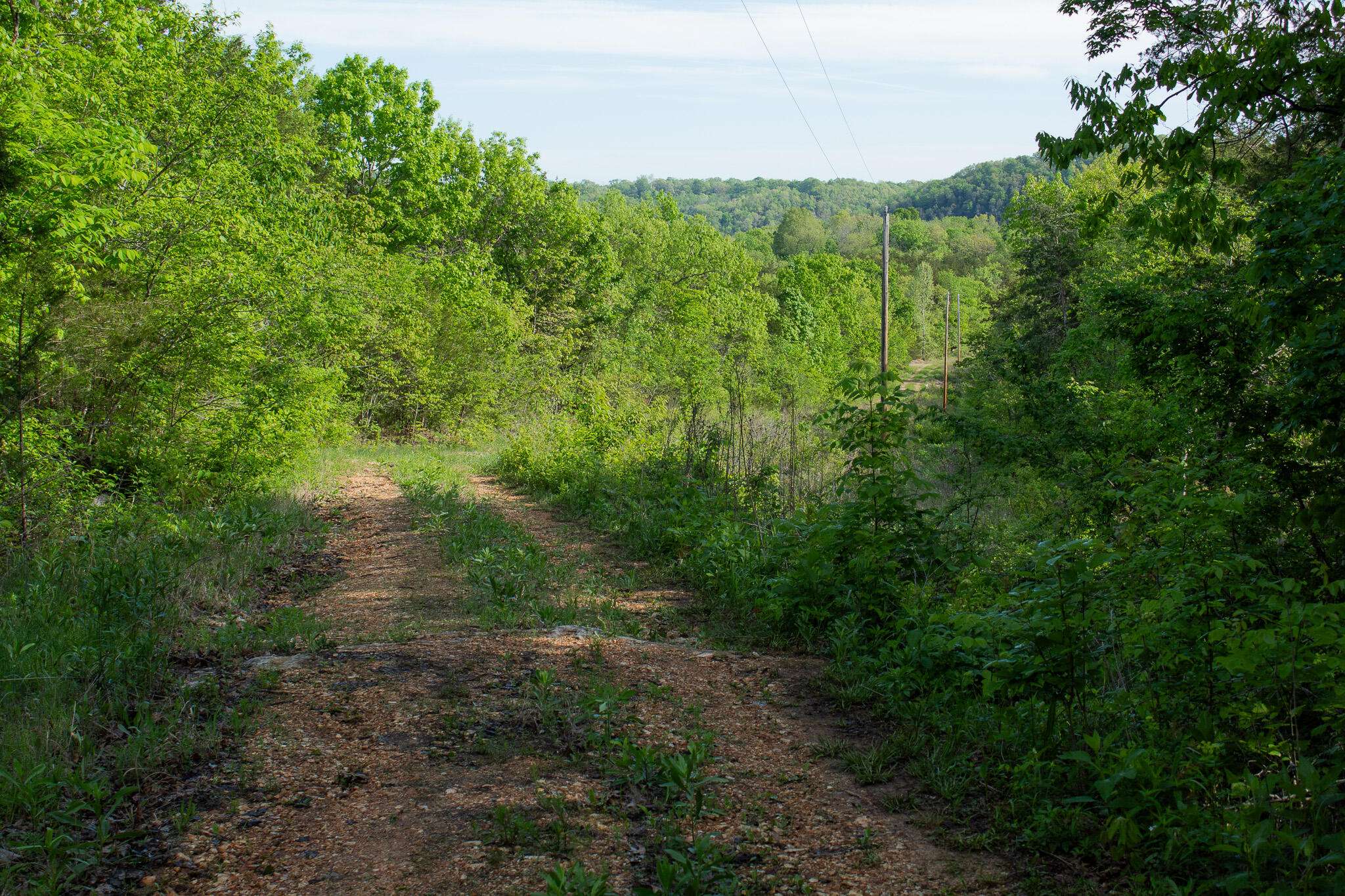 000 Terrace LN, Cape Fair, MO 65624
