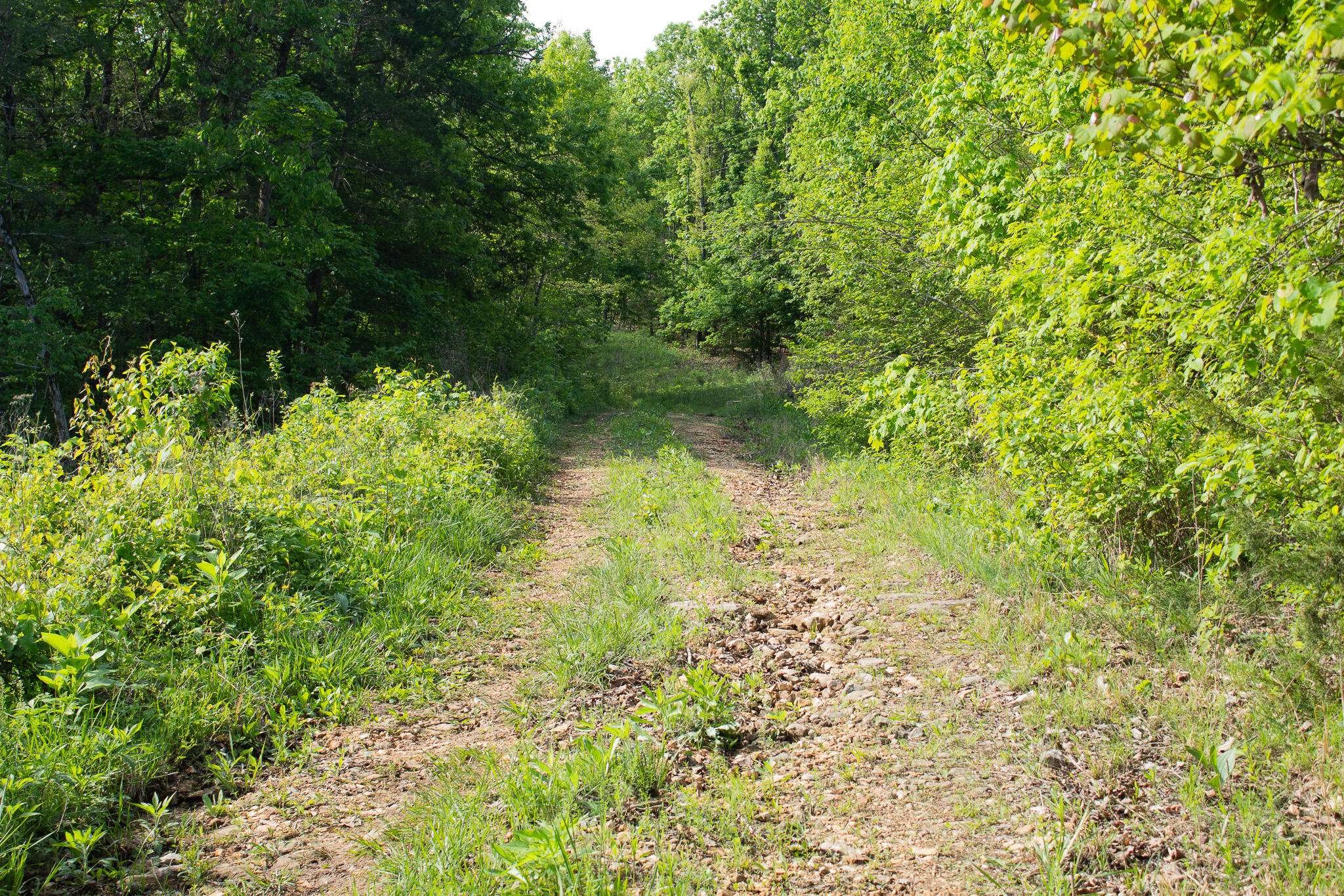 000 Terrace LN, Cape Fair, MO 65624