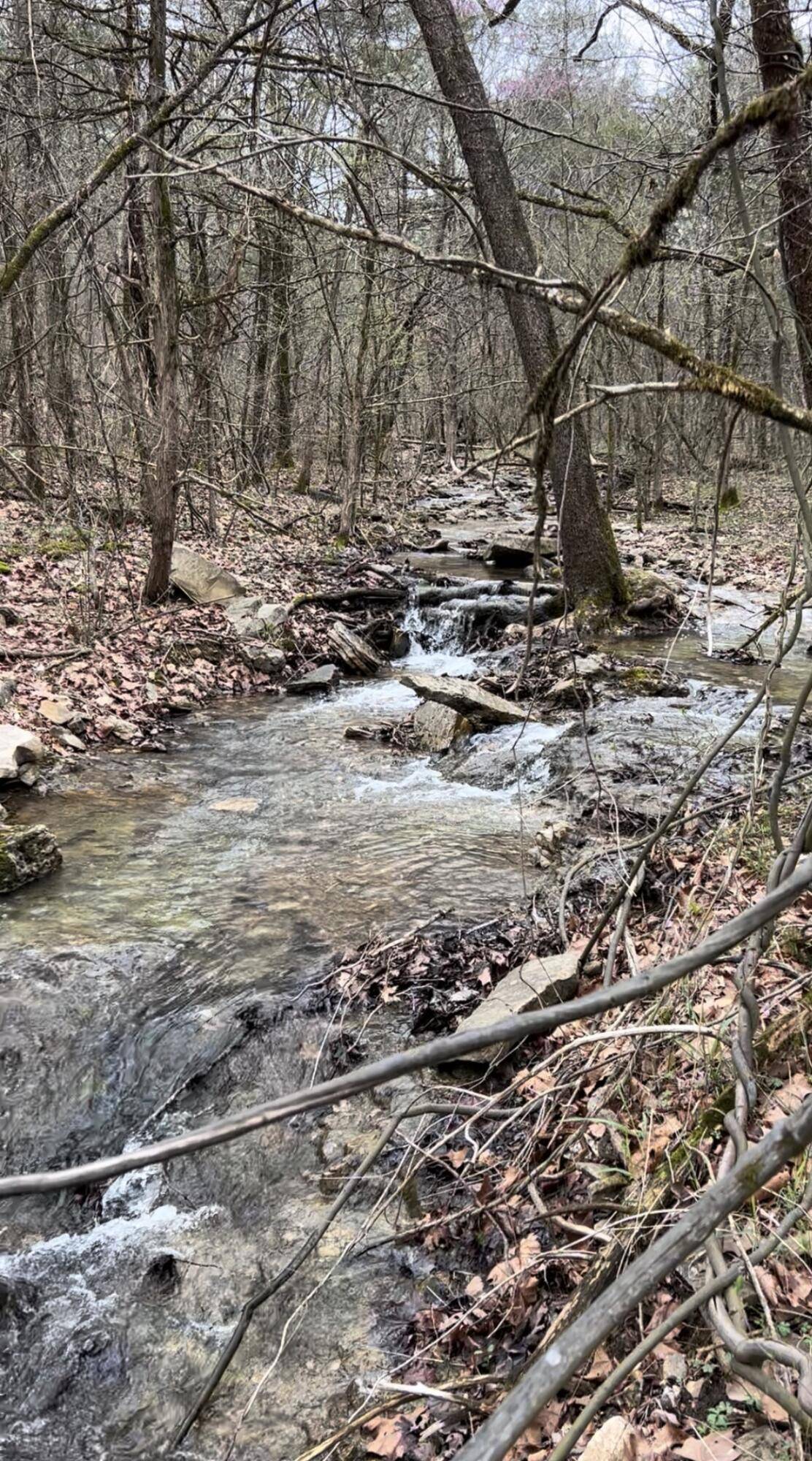 Lot 1 Woodland Lake DR, Shell Knob, MO 65747