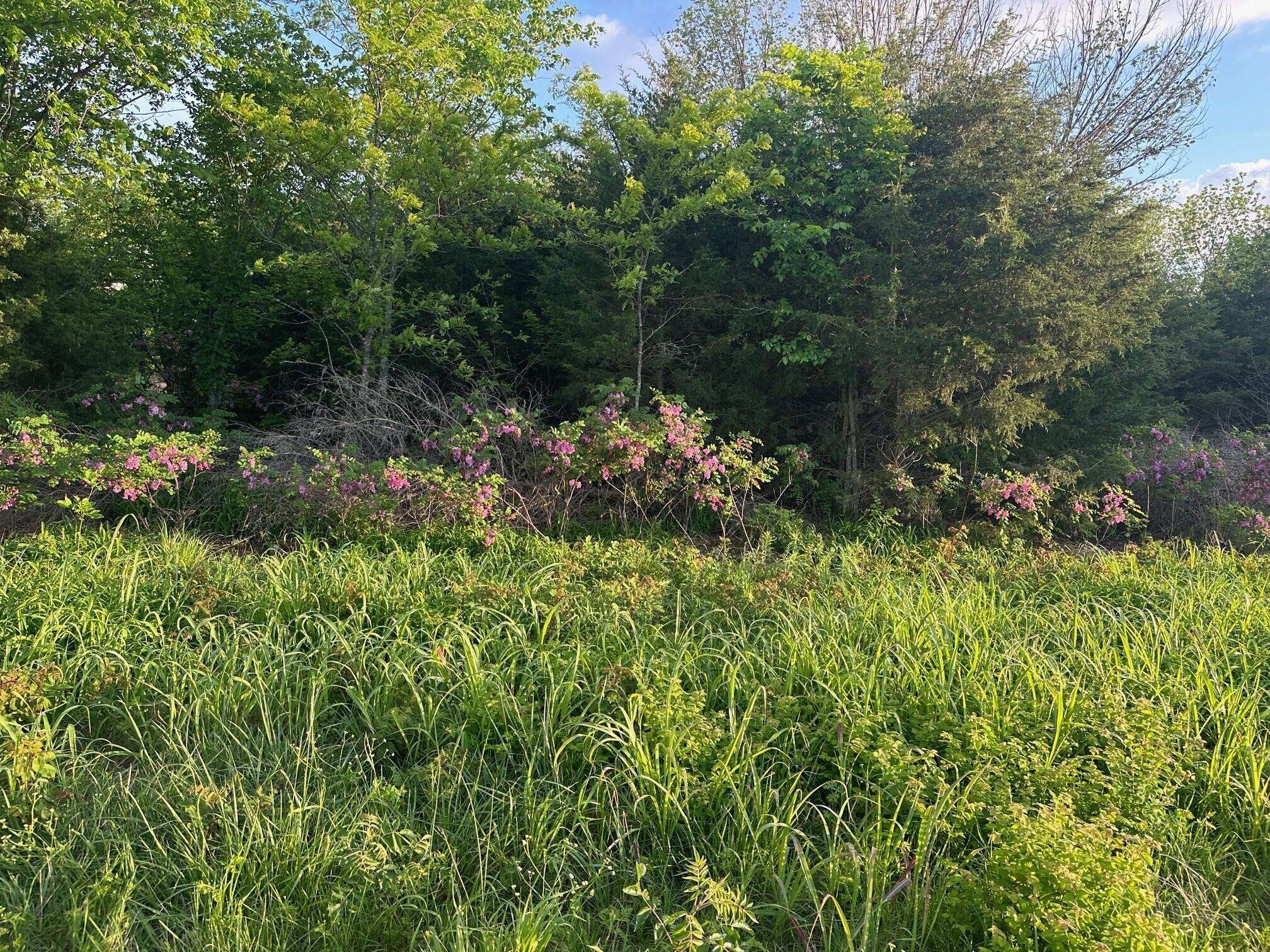 000 E 7th ST, Duenweg, MO 64841